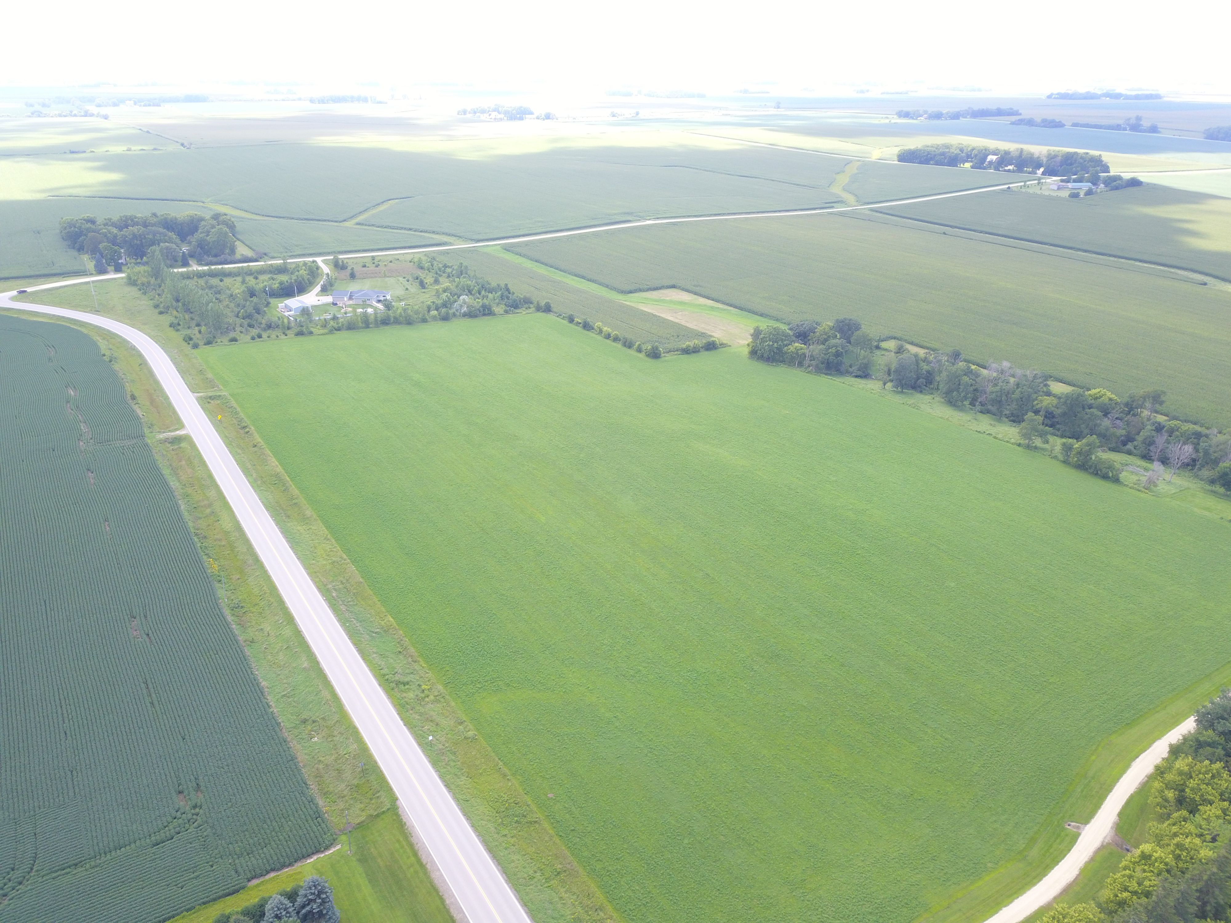 Listing Photo: Dodge County, Minnesota Land Building Site For Sale