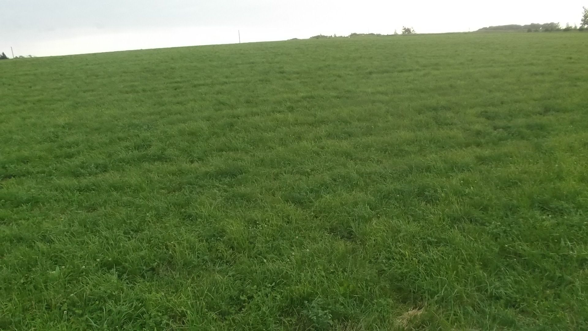 Listing #17863 - 9.90 acres in MN | Peoples Company