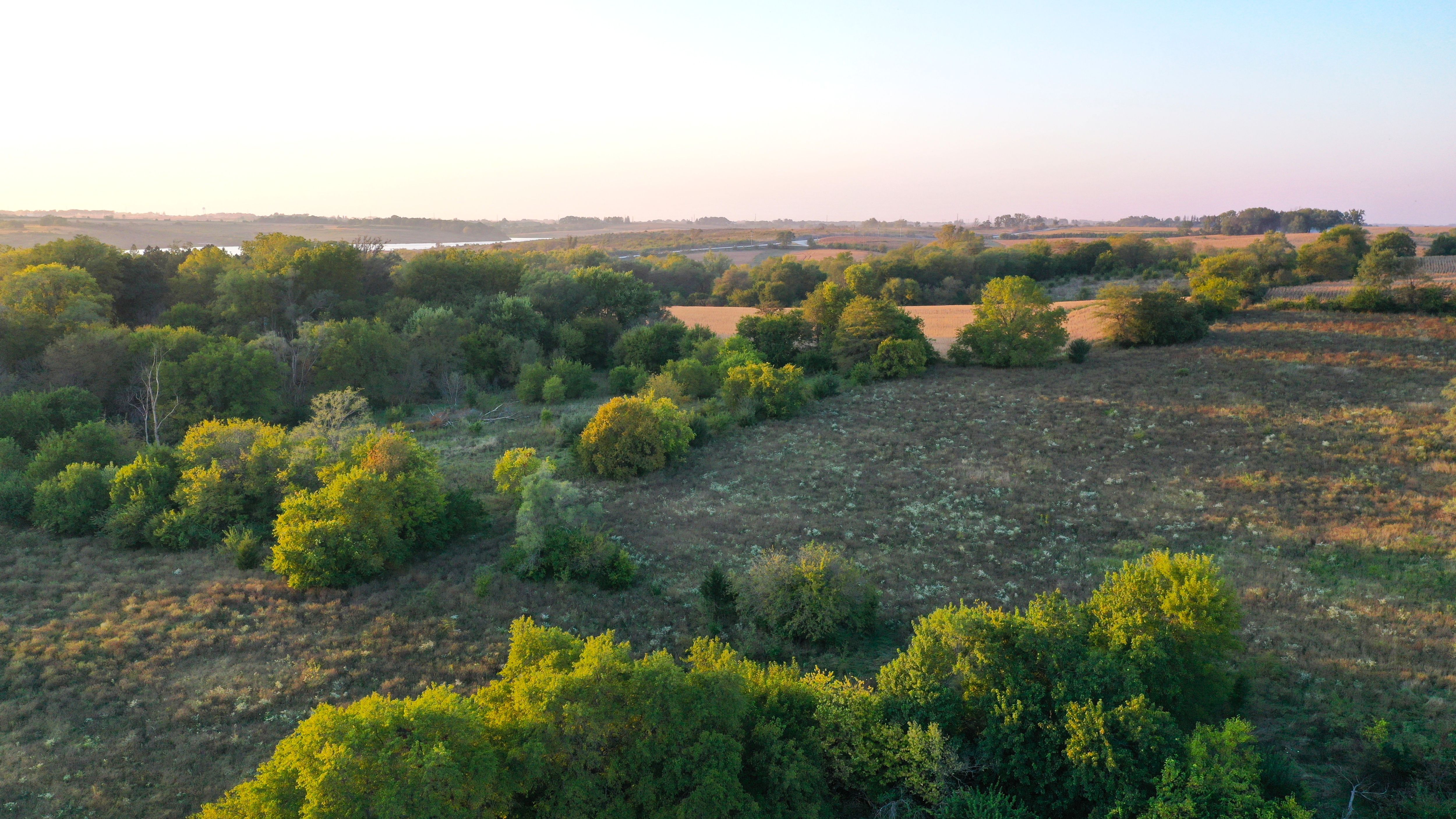 Listing Photo: DJI_0198-1