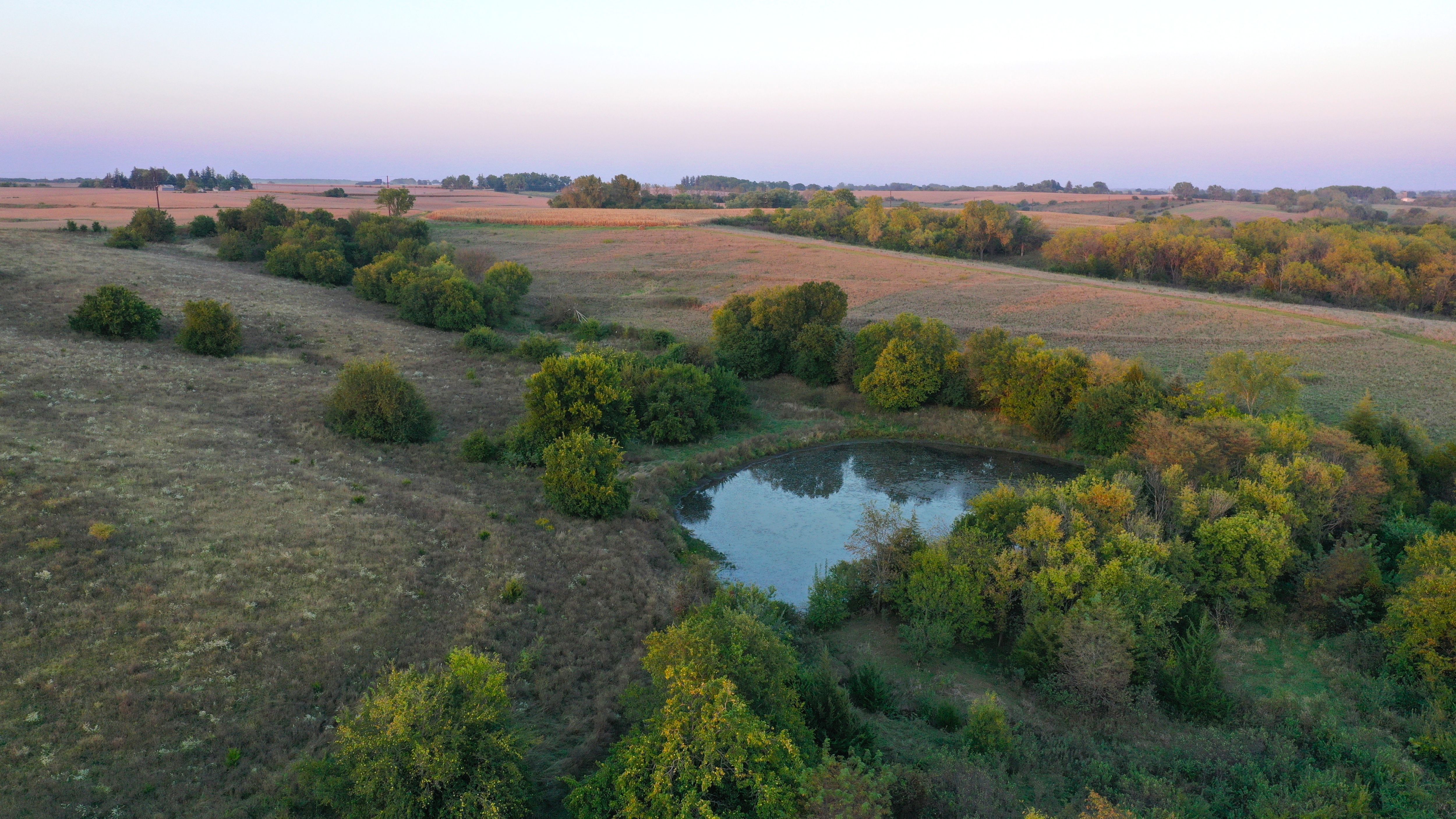 Listing Photo: DJI_0257-1