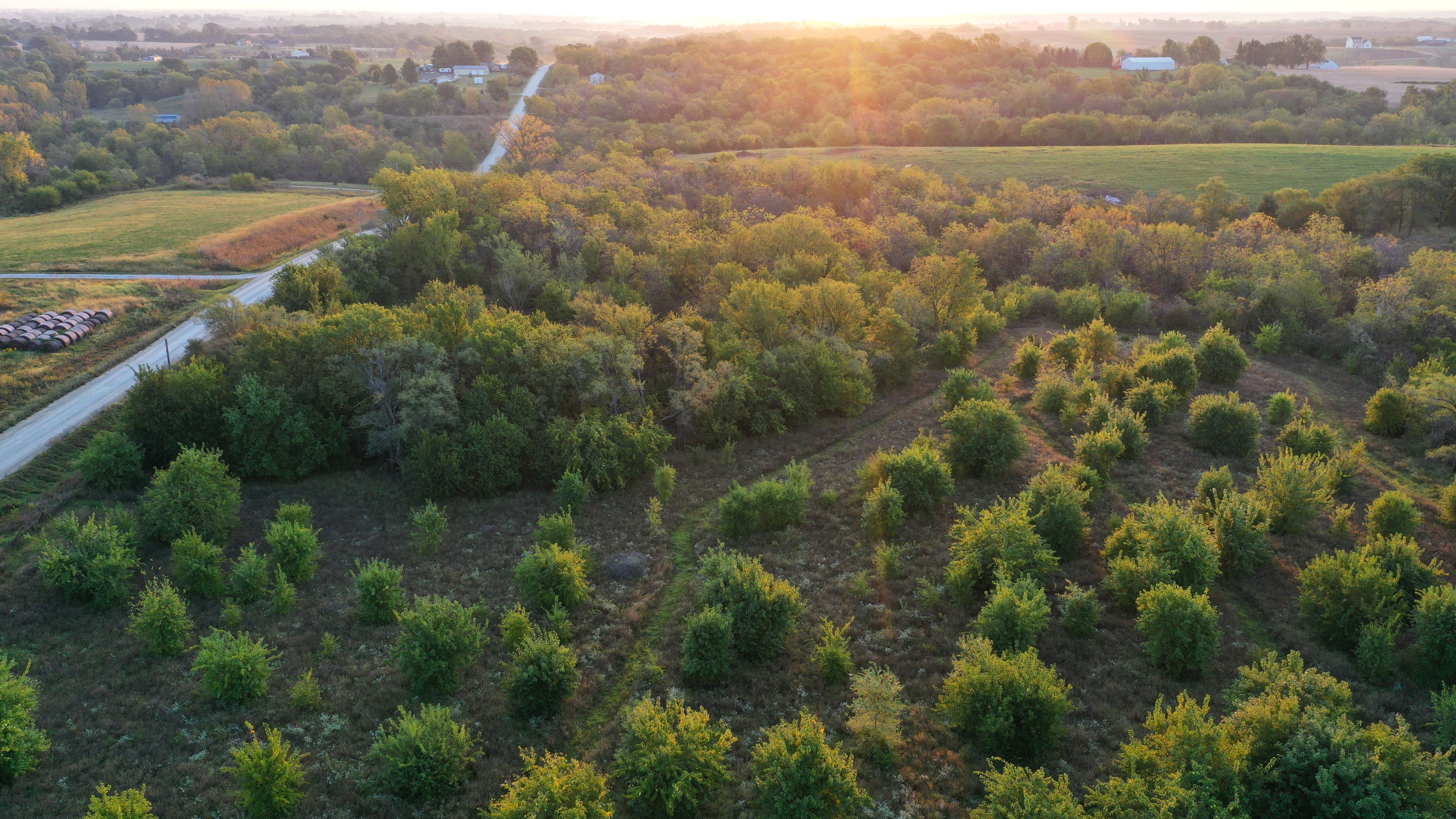 Listing Photo: DJI_0074-12.27