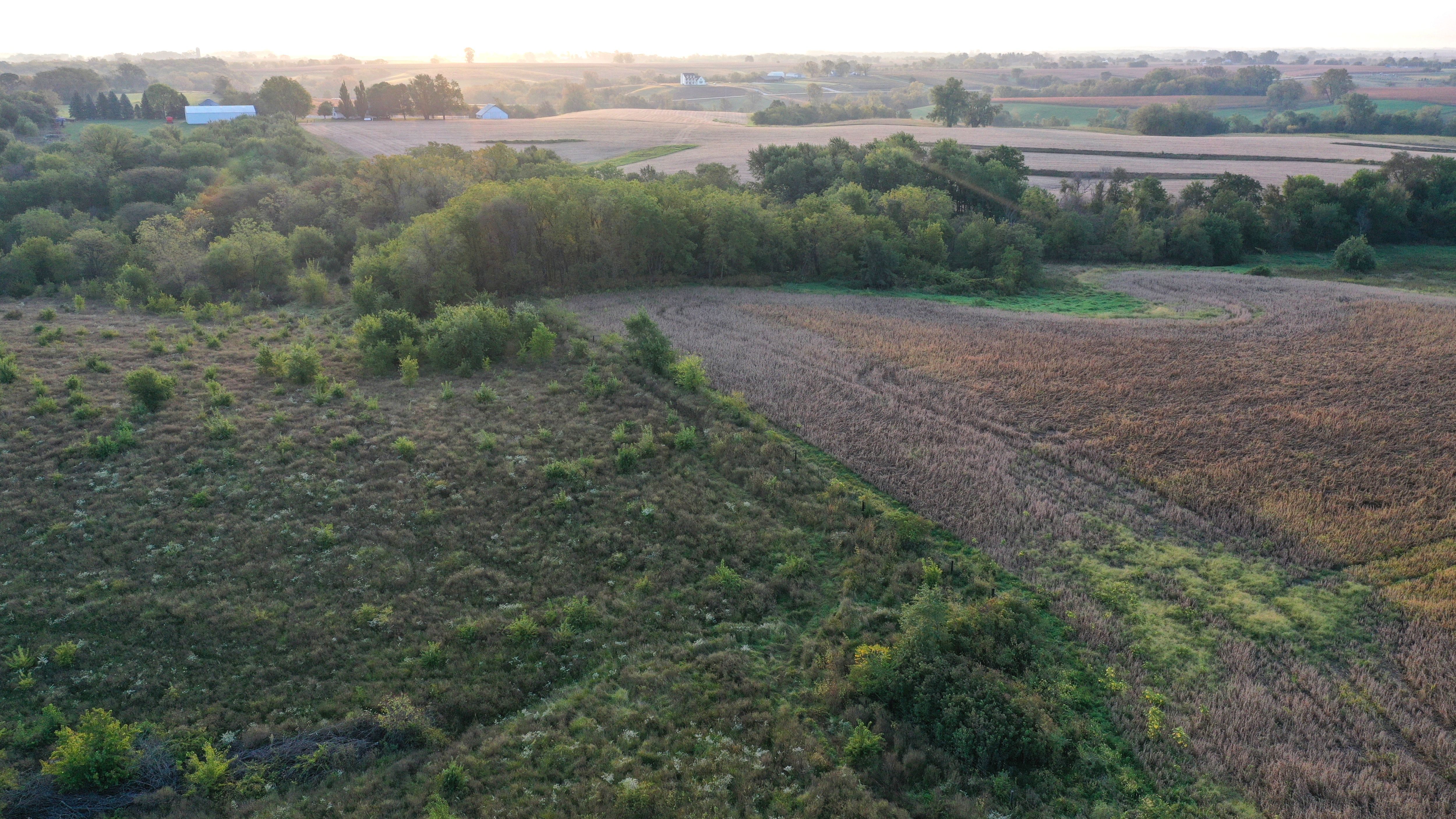 Listing Photo: DJI_0118-16.42