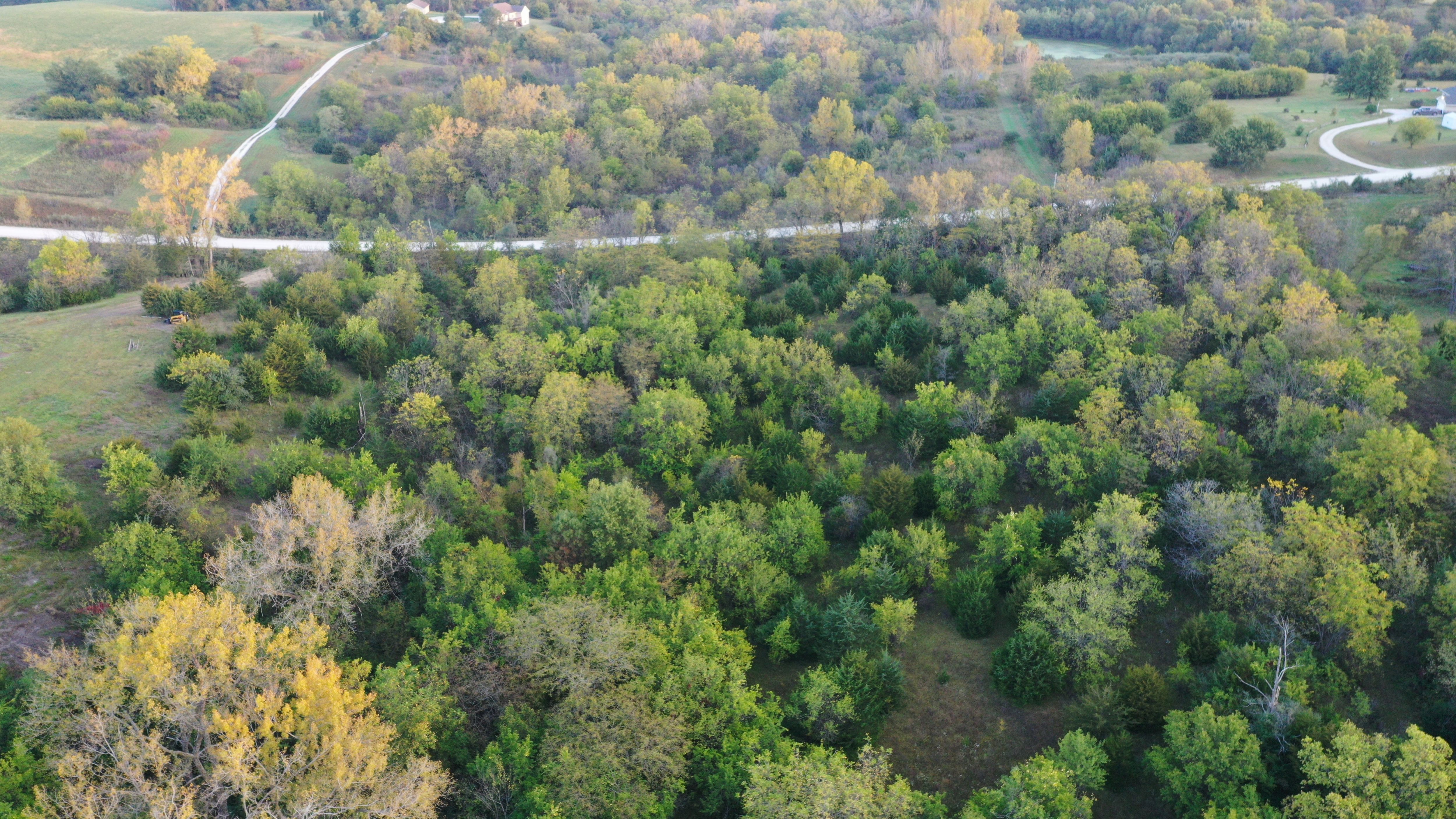Listing Photo: DJI_0063-19