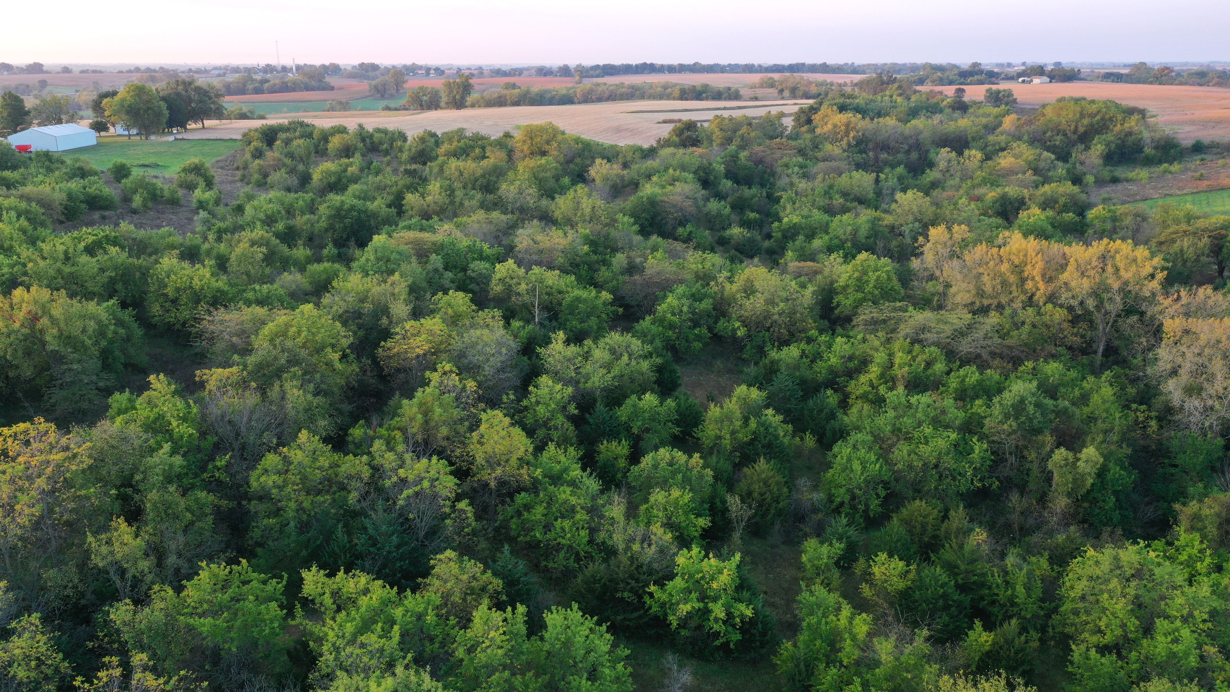 Listing Photo: DJI_0065-19