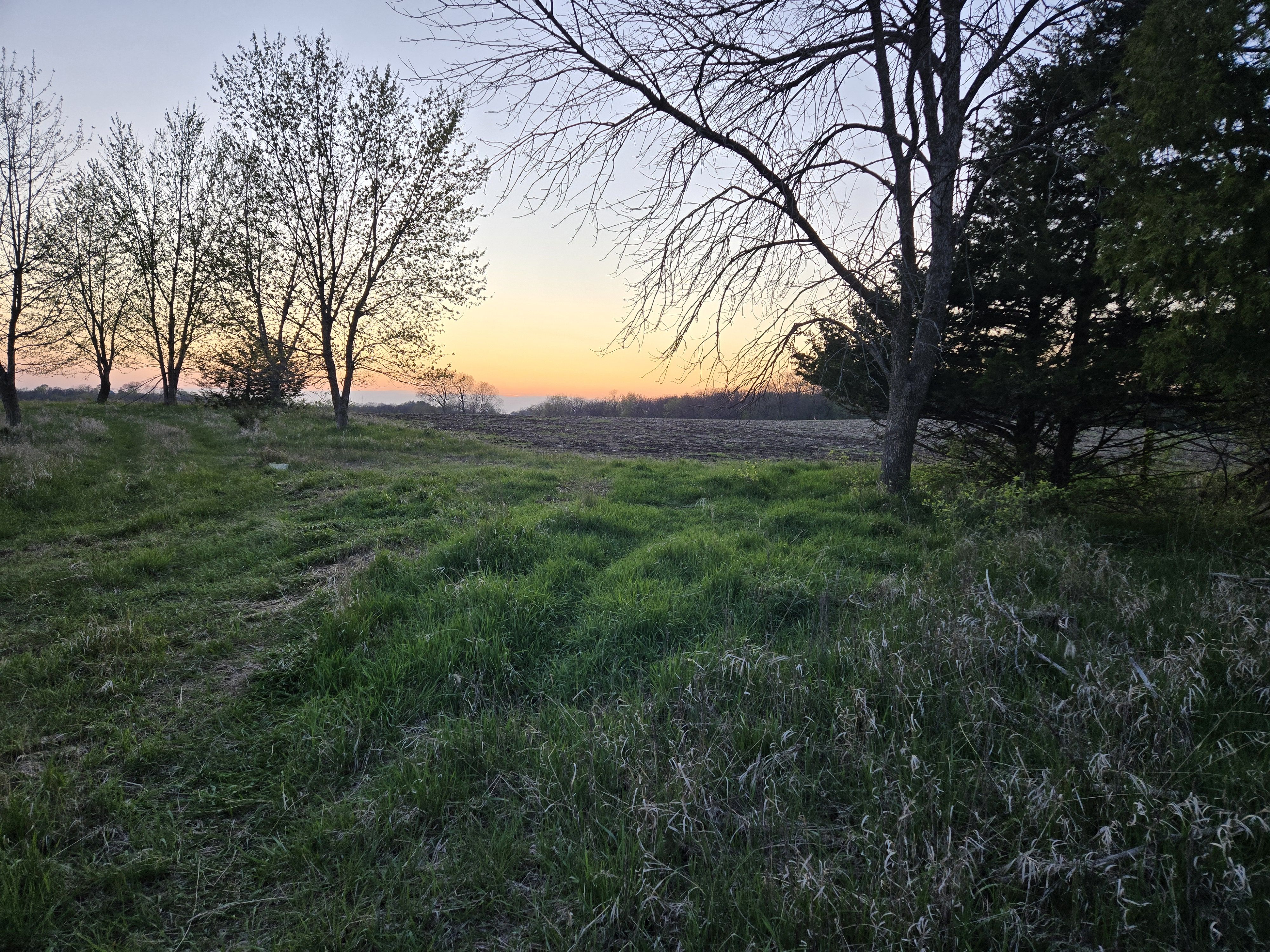 Listing Photo: Warren County, Iowa Farmland For Sale Near Norwalk and Cumming, Iowa