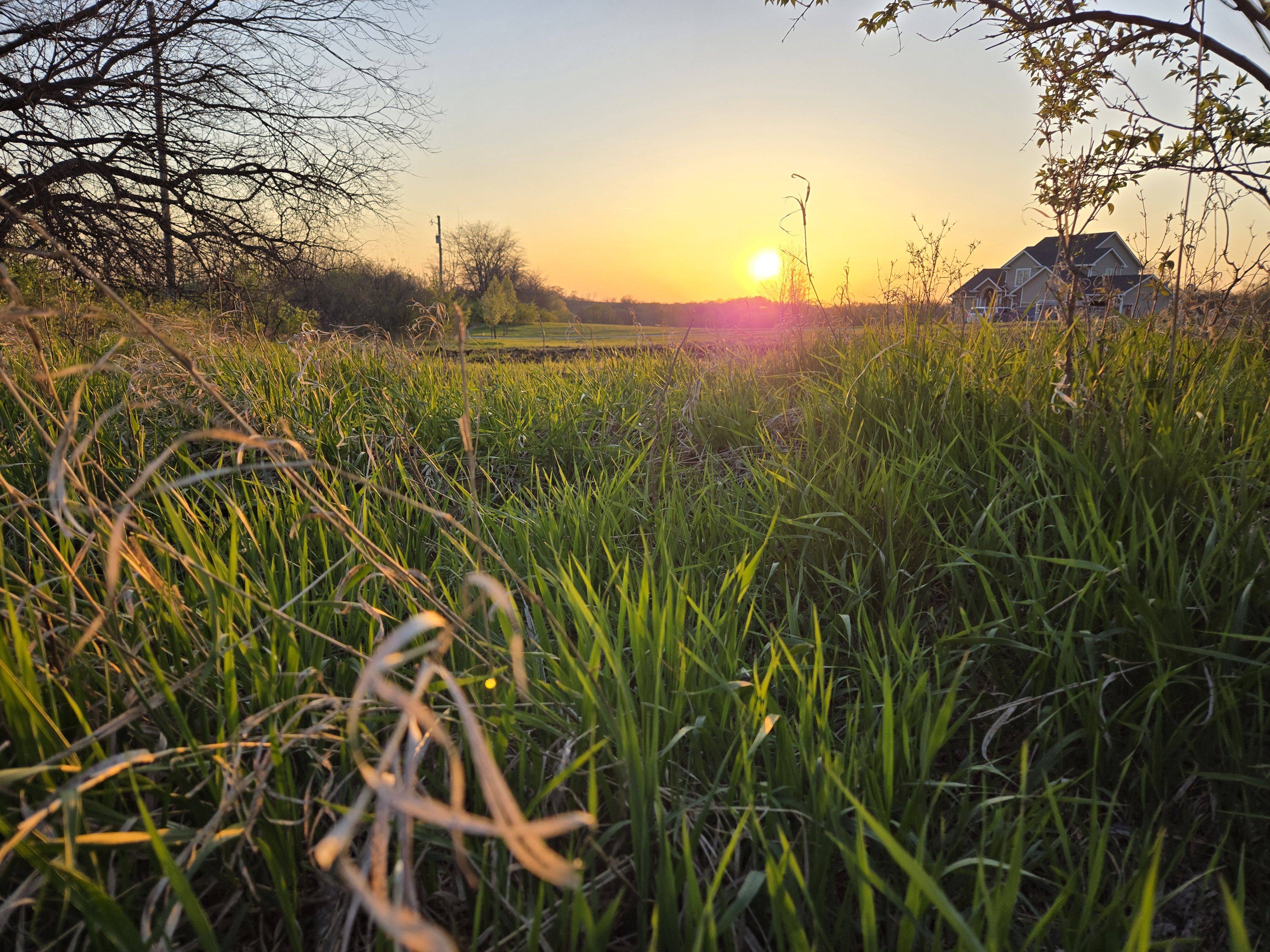 Listing Photo: Warren County, Iowa Farmland For Sale Near Norwalk and Cumming, Iowa