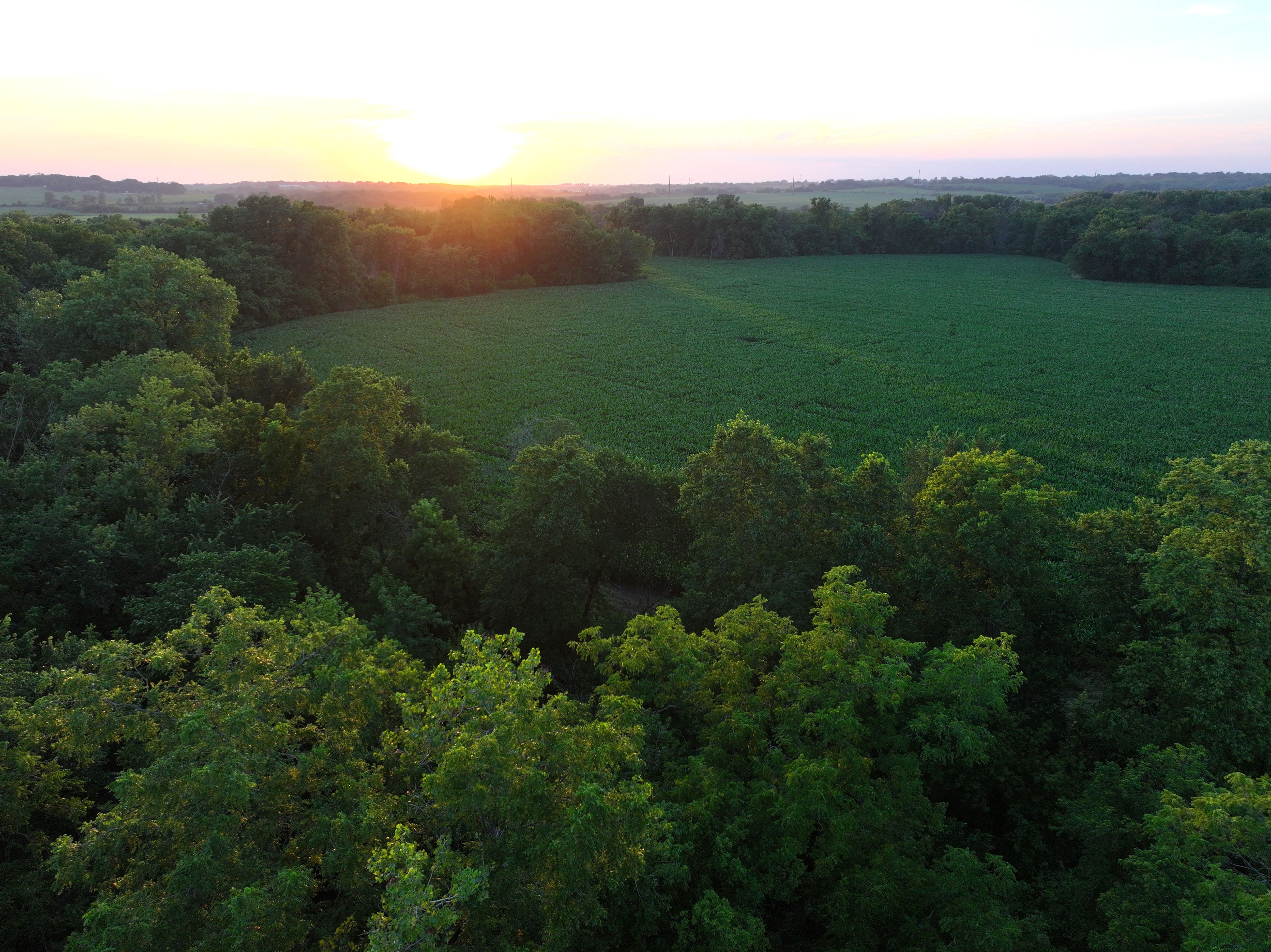 Listing Photo: DJI_20250706181231_0775_D-1