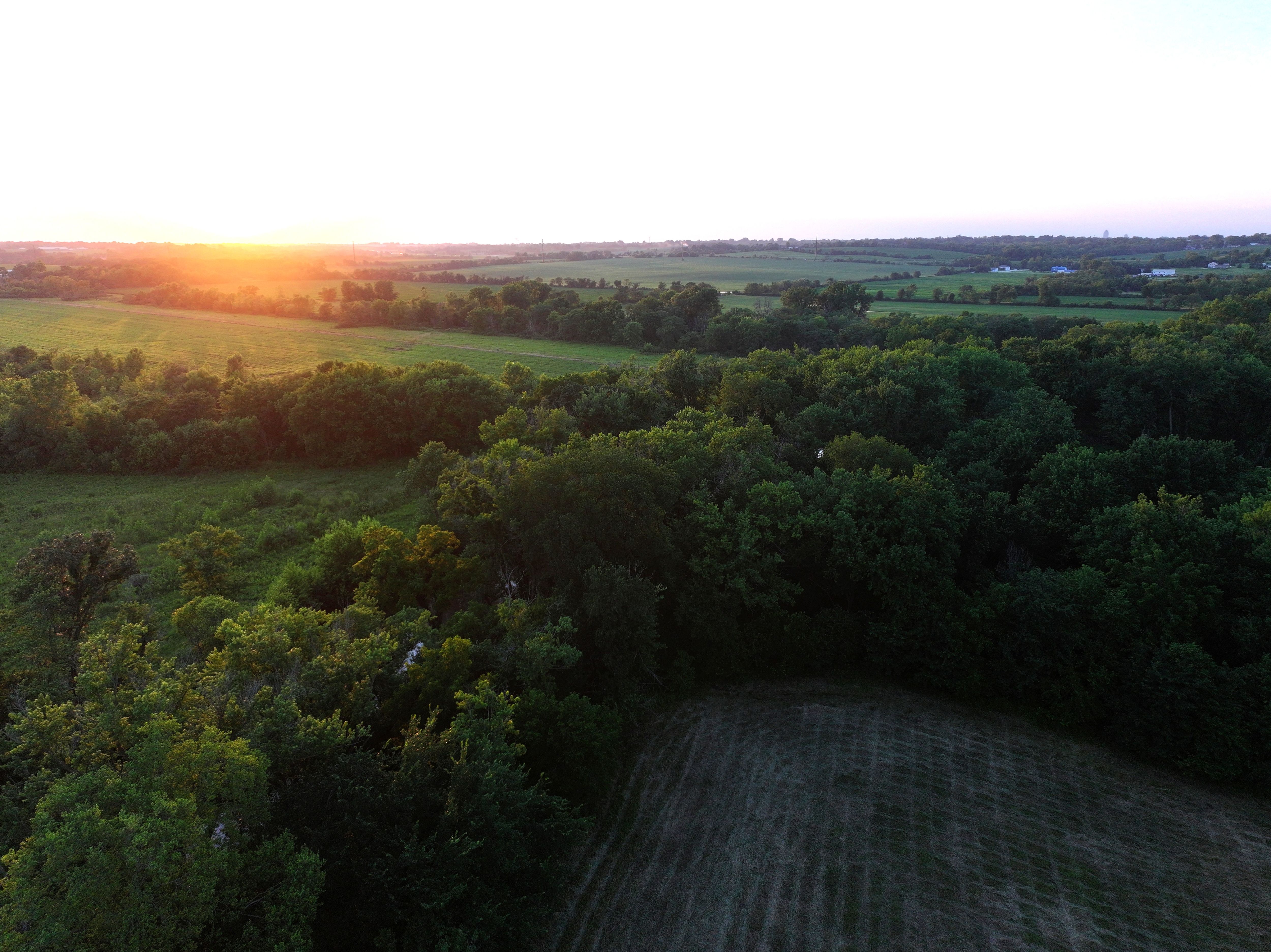 Listing Photo: DJI_20250706181424_0787_D-1