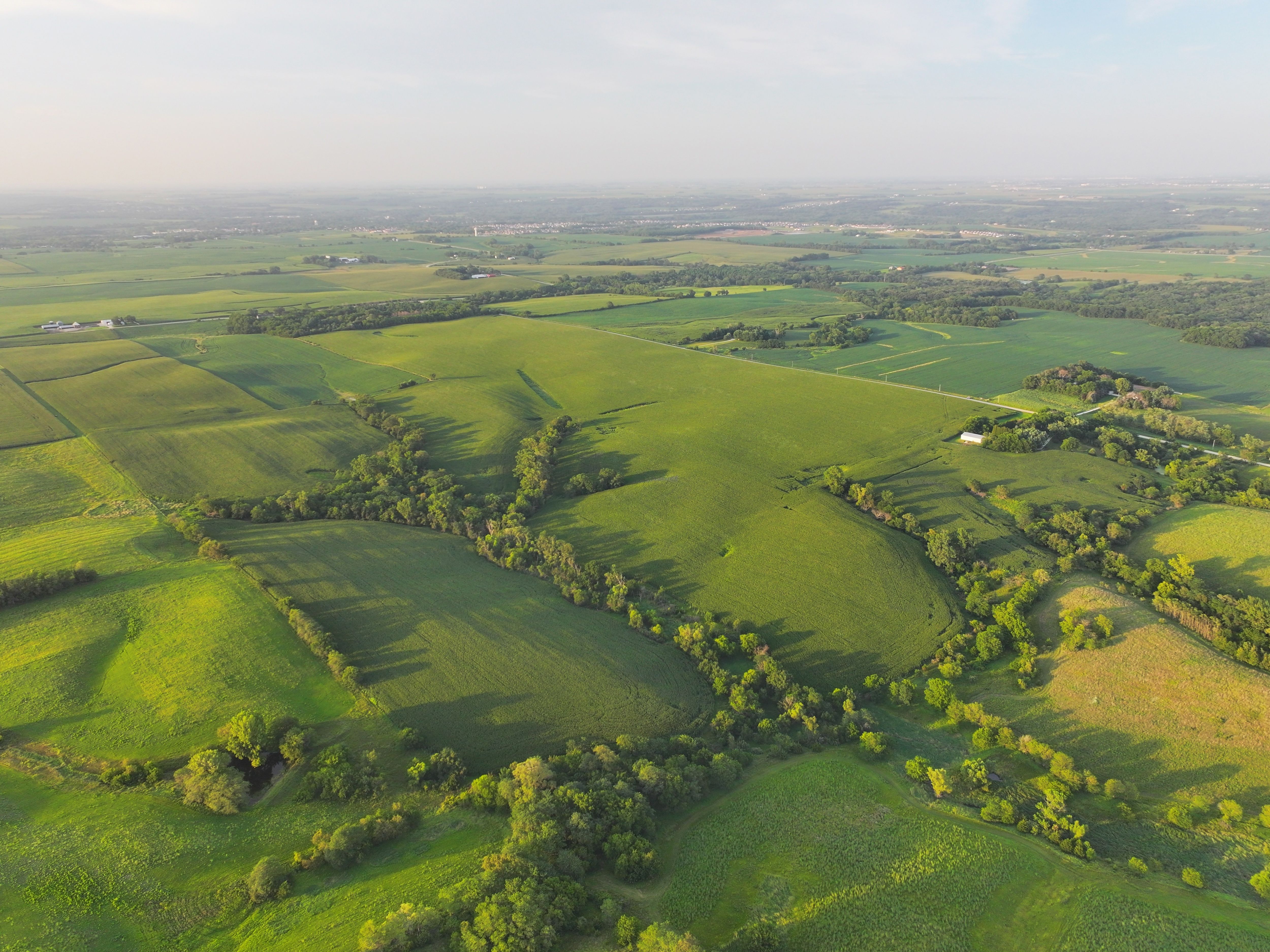 Listing Photo: DJI_20250719135410_0109_D-1