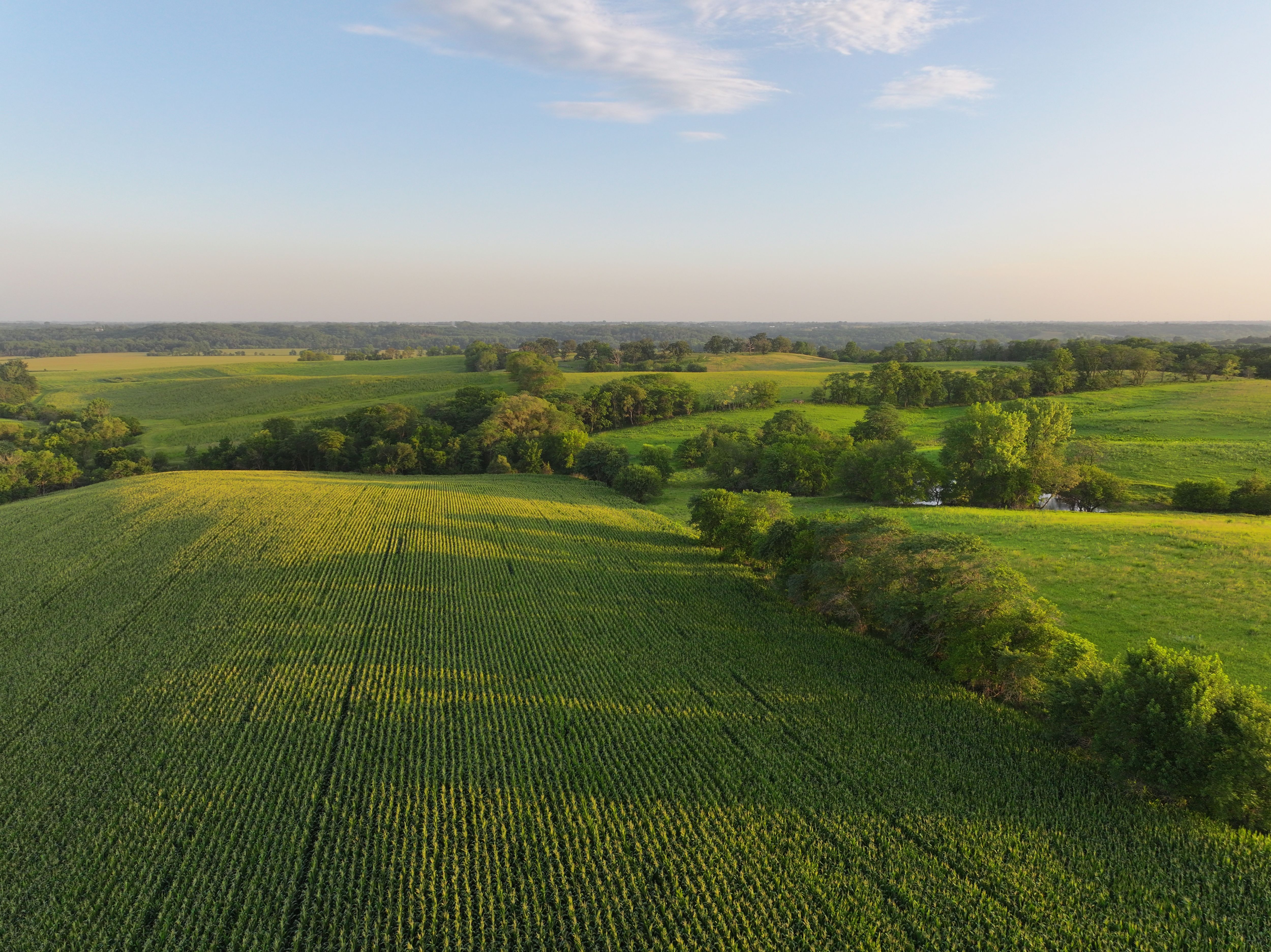 Listing Photo: DJI_20250719140227_0132_D