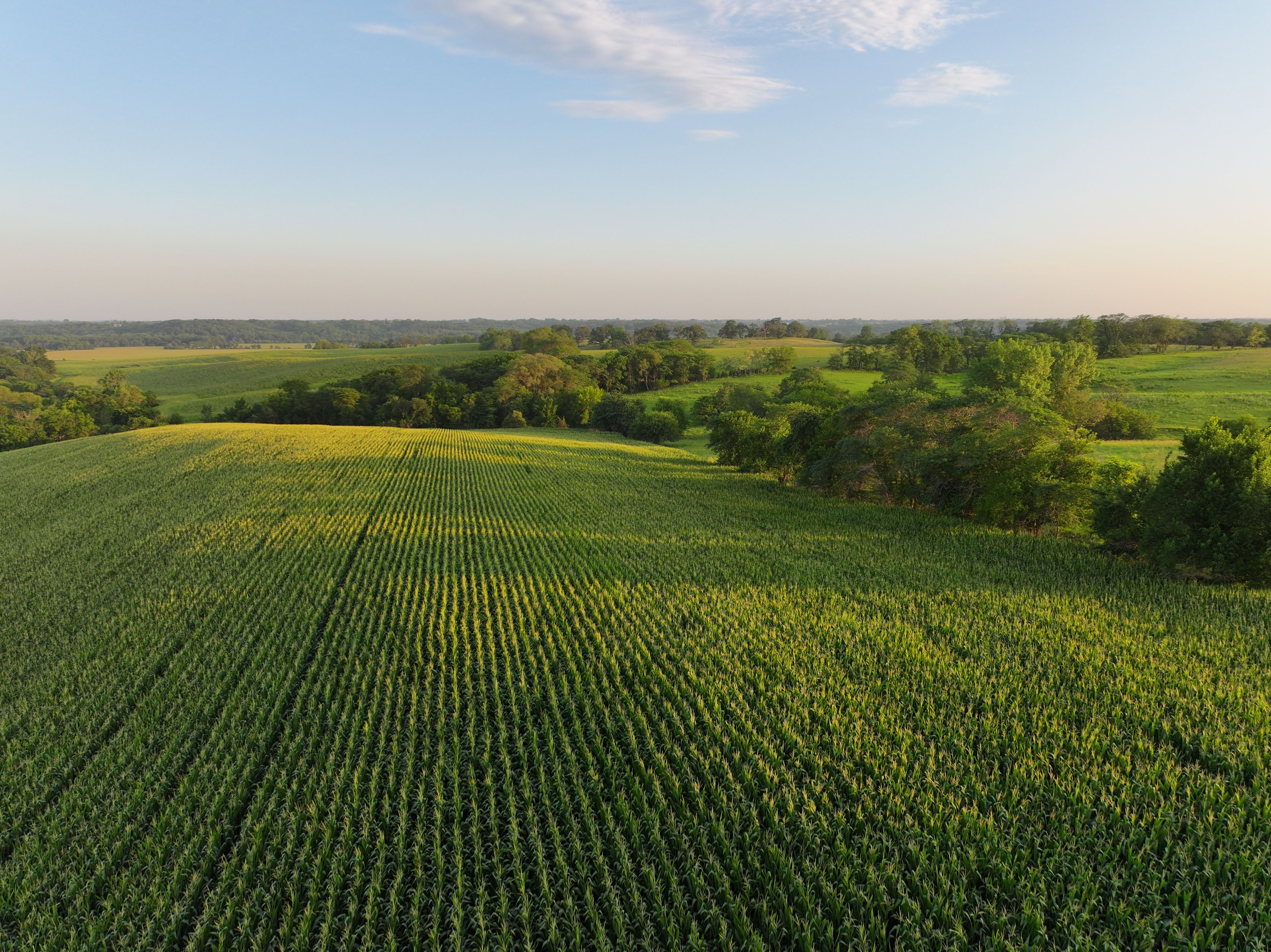 Listing Photo: DJI_20250719140232_0133_D