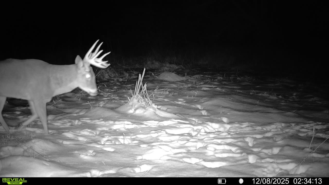 Listing Photo: 016579004286923-27-3-12082025023413-V-SYFW00784