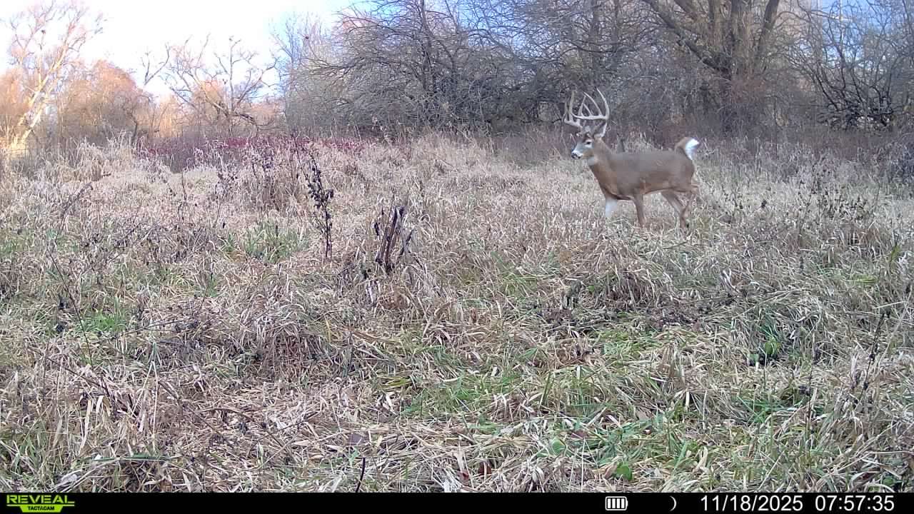 Listing Photo: 016579004286923-80-4-11182025075735-V-SYFW00578