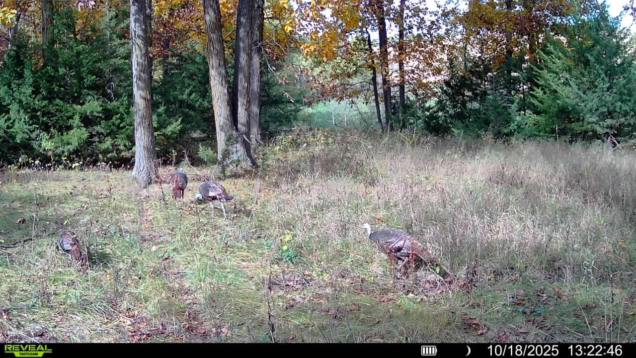 Listing Photo: 016579008335759-100-4-10182025132246-SYFW00982