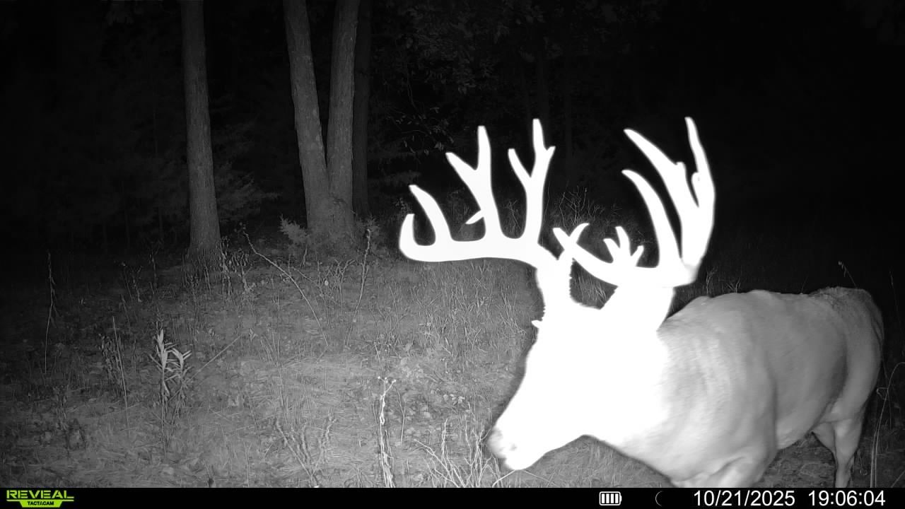 Listing Photo: 016579008335759-100-4-10212025190604-V-SYFW00998