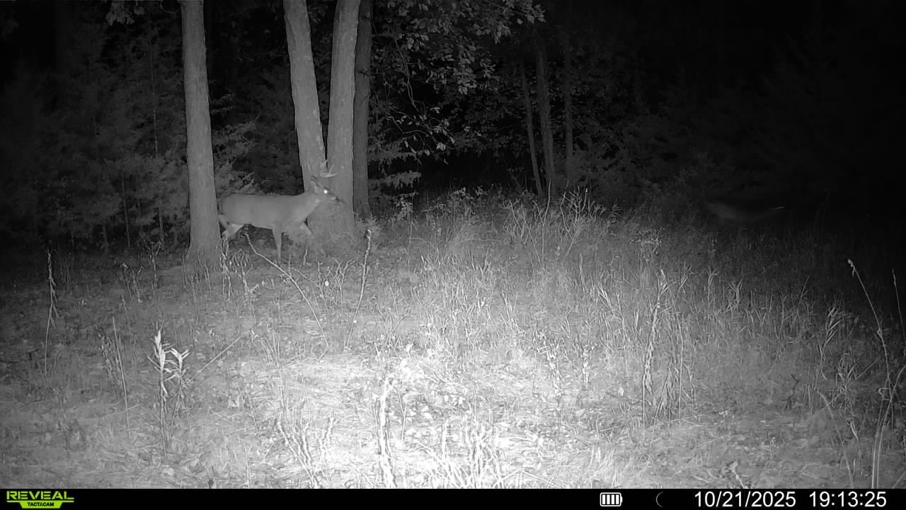 Listing Photo: 016579008335759-100-4-10212025191325-V-SYFW01000