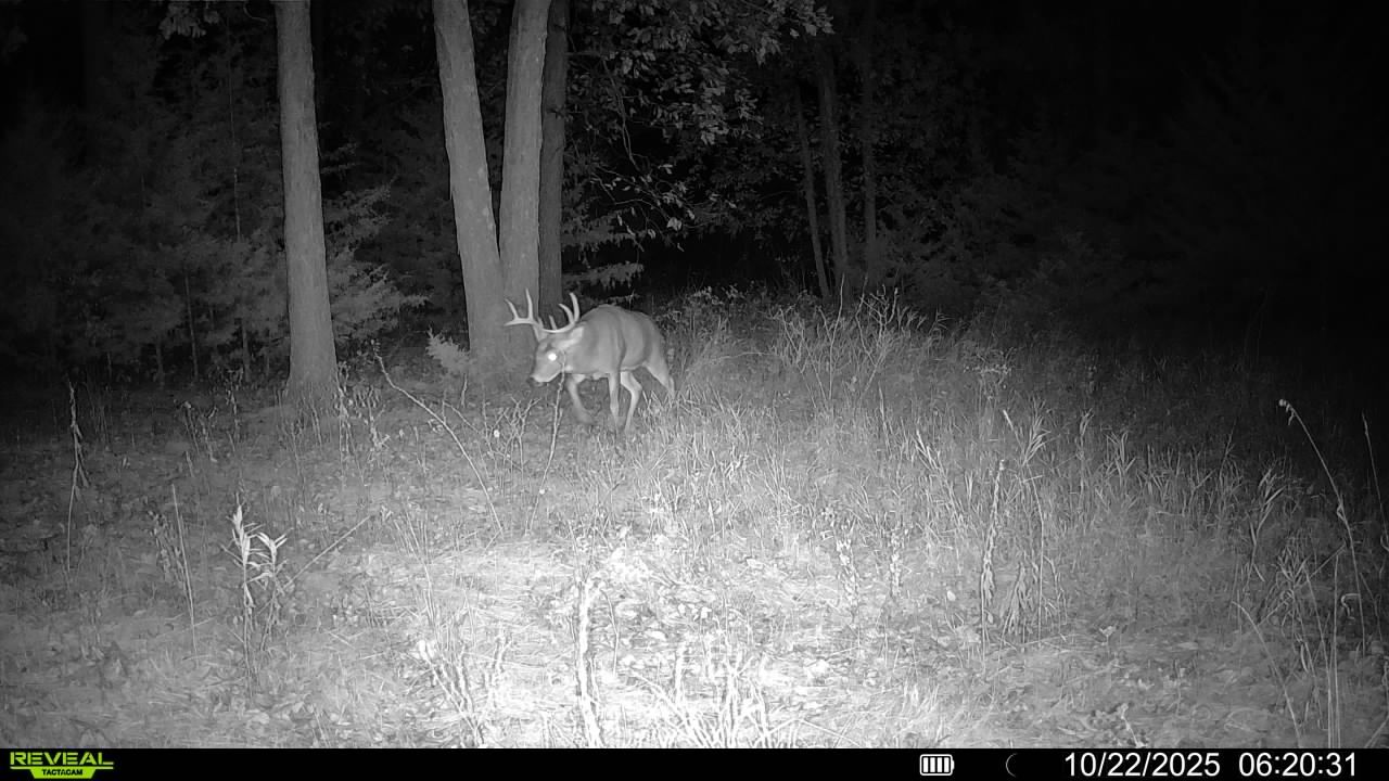 Listing Photo: 016579008335759-100-4-10222025062031-V-SYFW01014