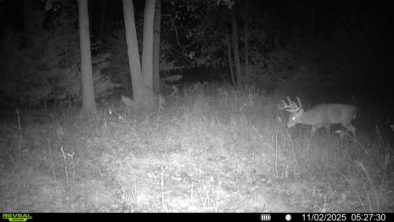 Listing Photo: 016579008335759-100-4-11022025052730-V-SYFW01204