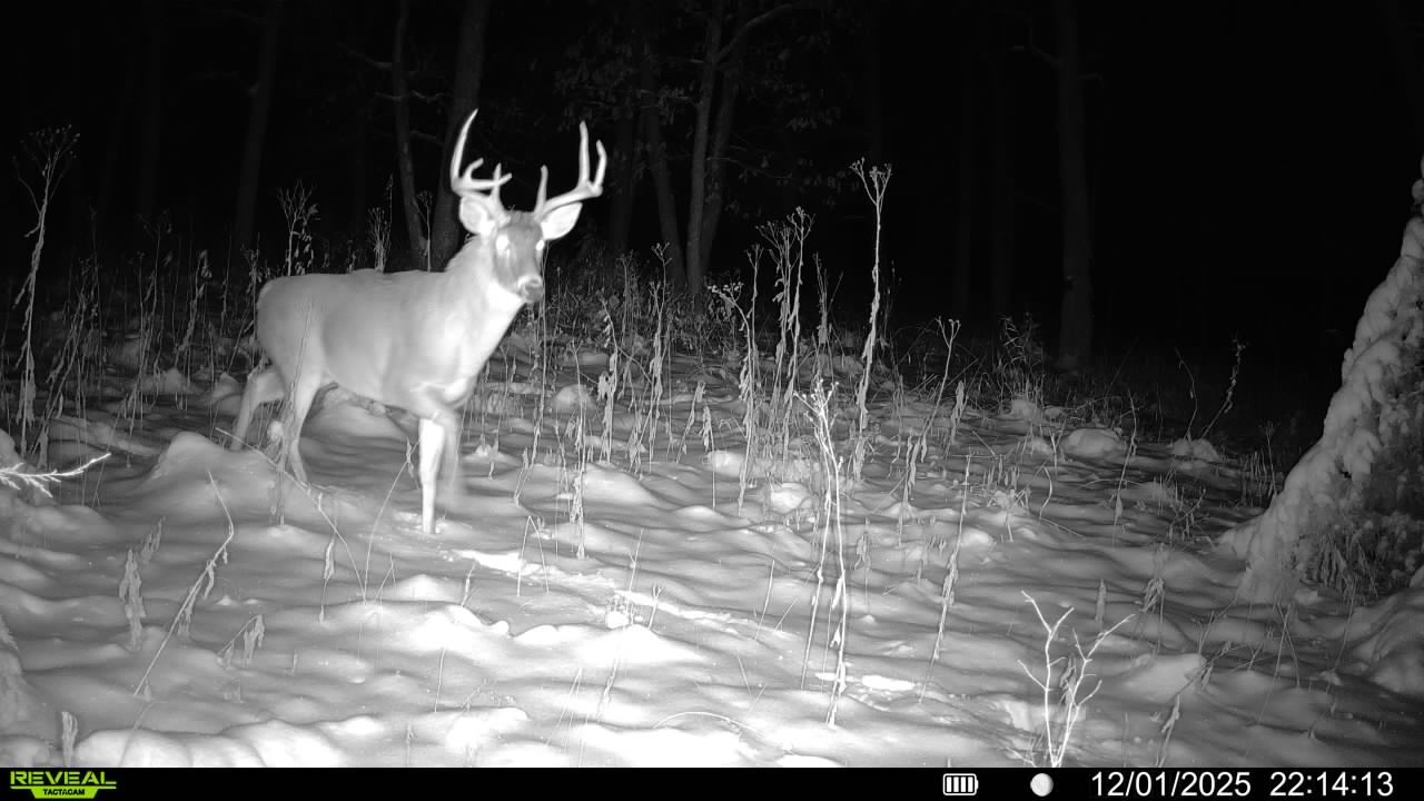 Listing Photo: 016579008335759-91-4-12012025221413-V-SYFW01570