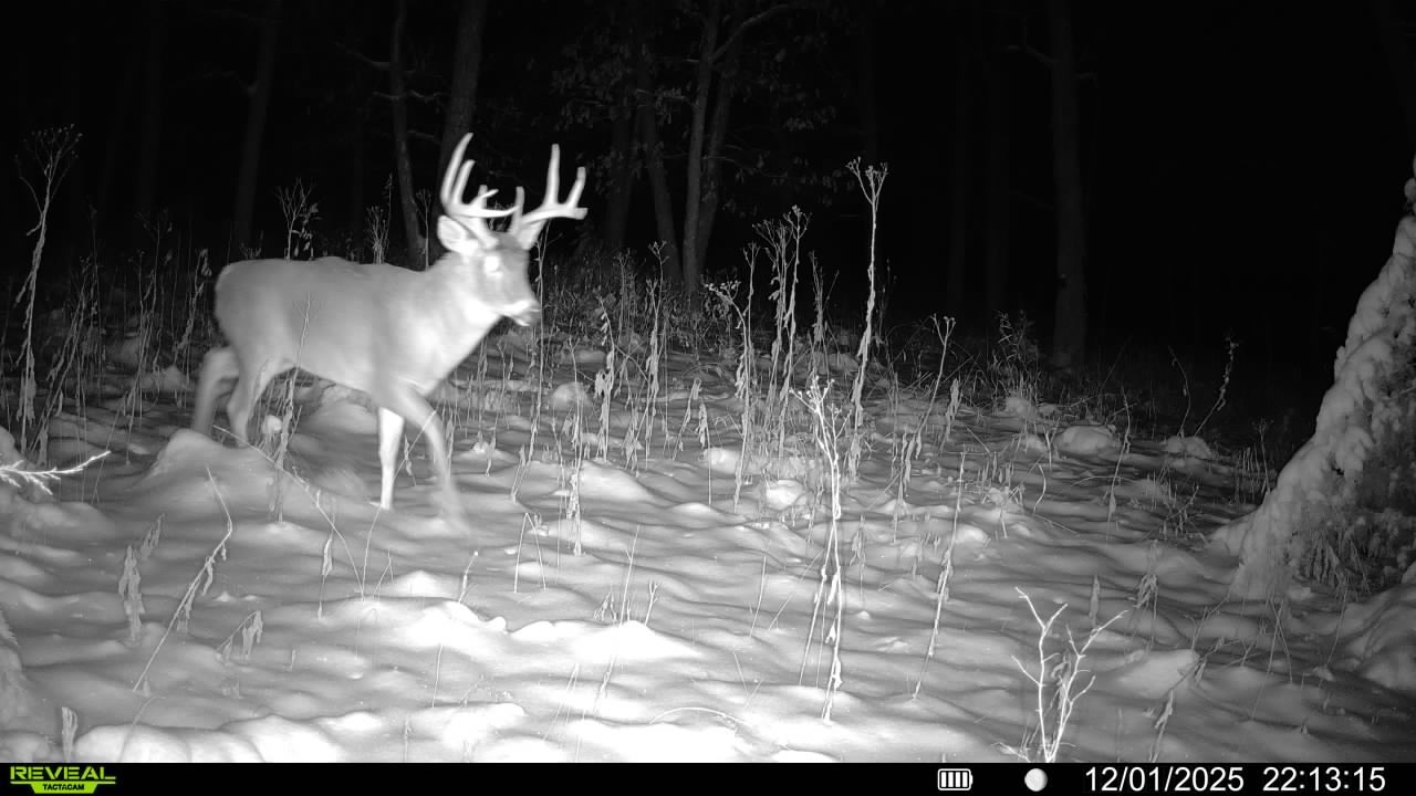 Listing Photo: 016579008335759-94-4-12012025221315-V-SYFW01568