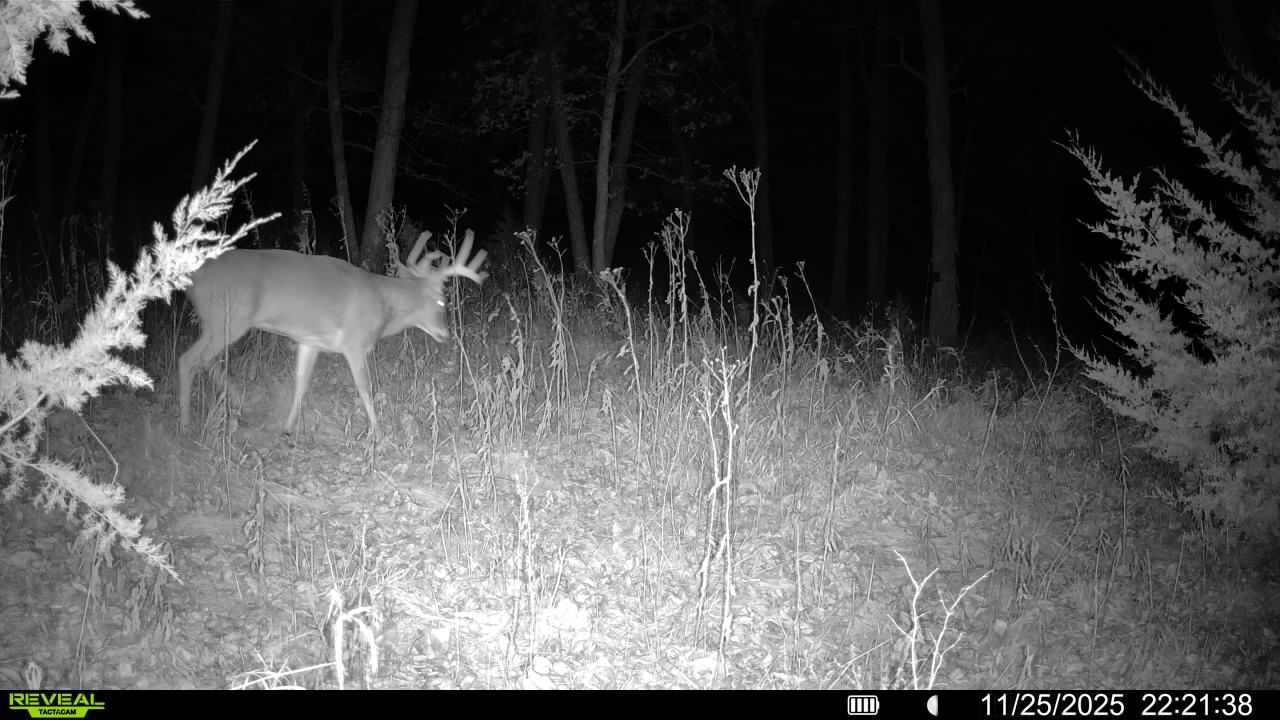 Listing Photo: 016579008335759-98-4-11252025222138-V-SYFW01468