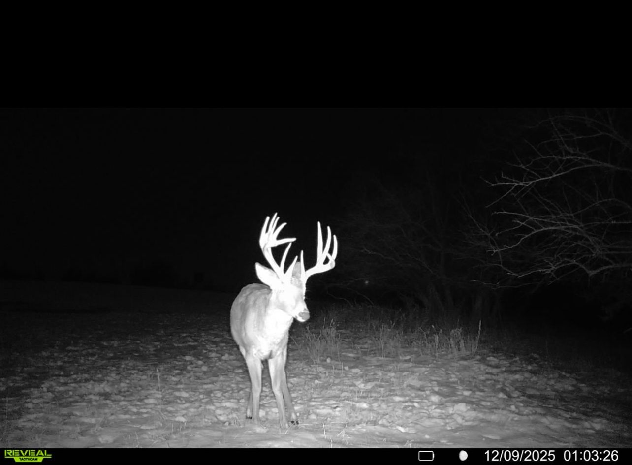 Listing Photo: IMG_3307