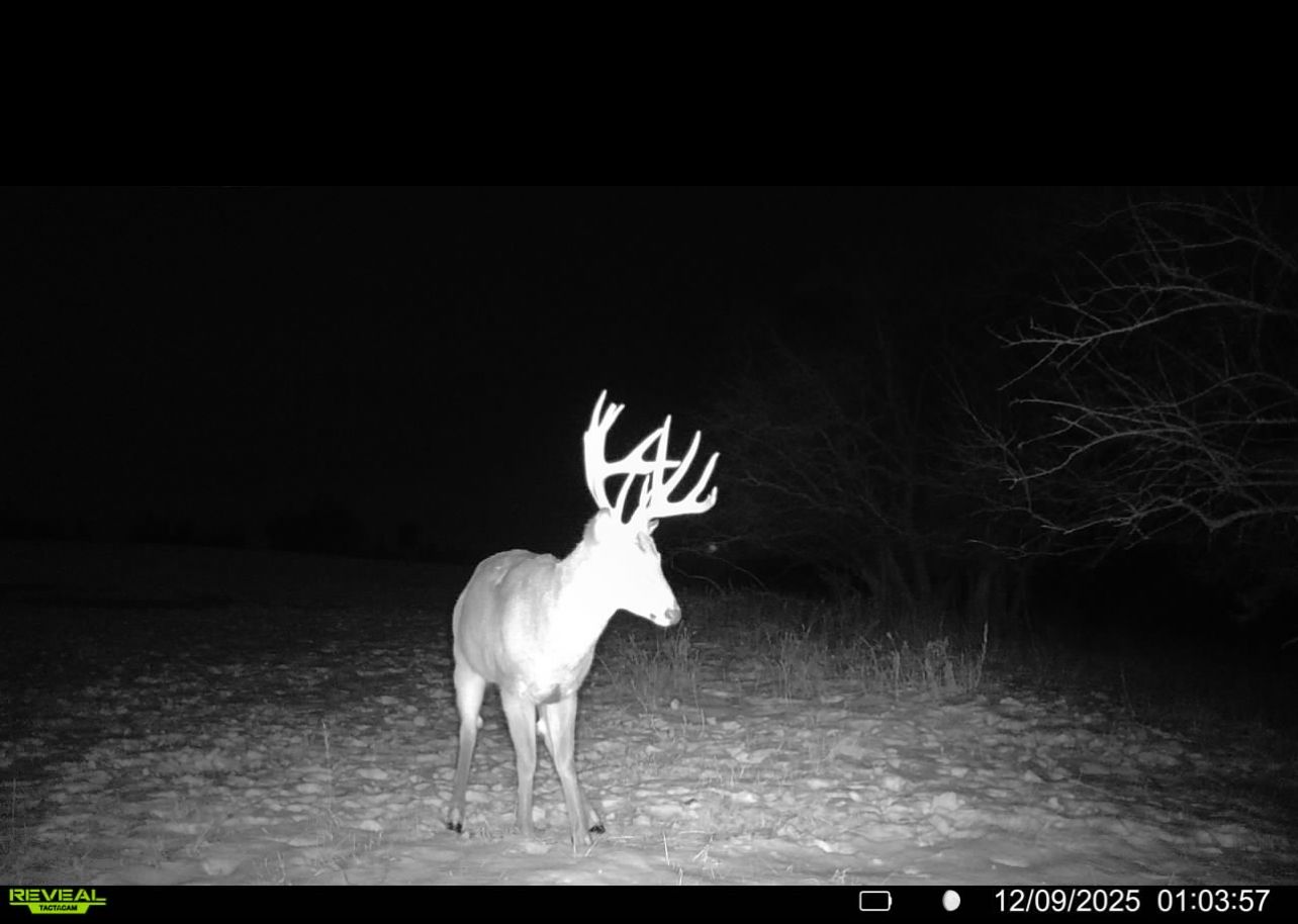 Listing Photo: IMG_3308