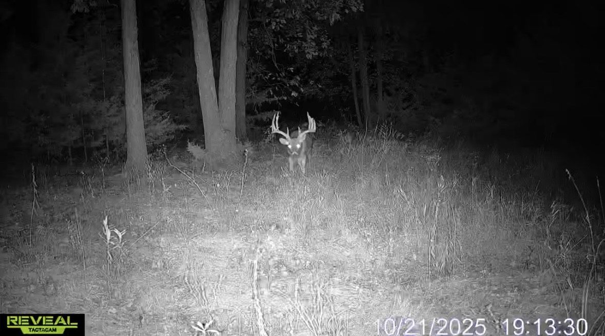 Listing Photo: IMG_8826