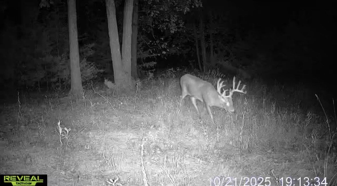 Listing Photo: IMG_8827