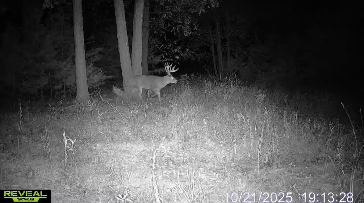 Listing Photo: IMG_8828