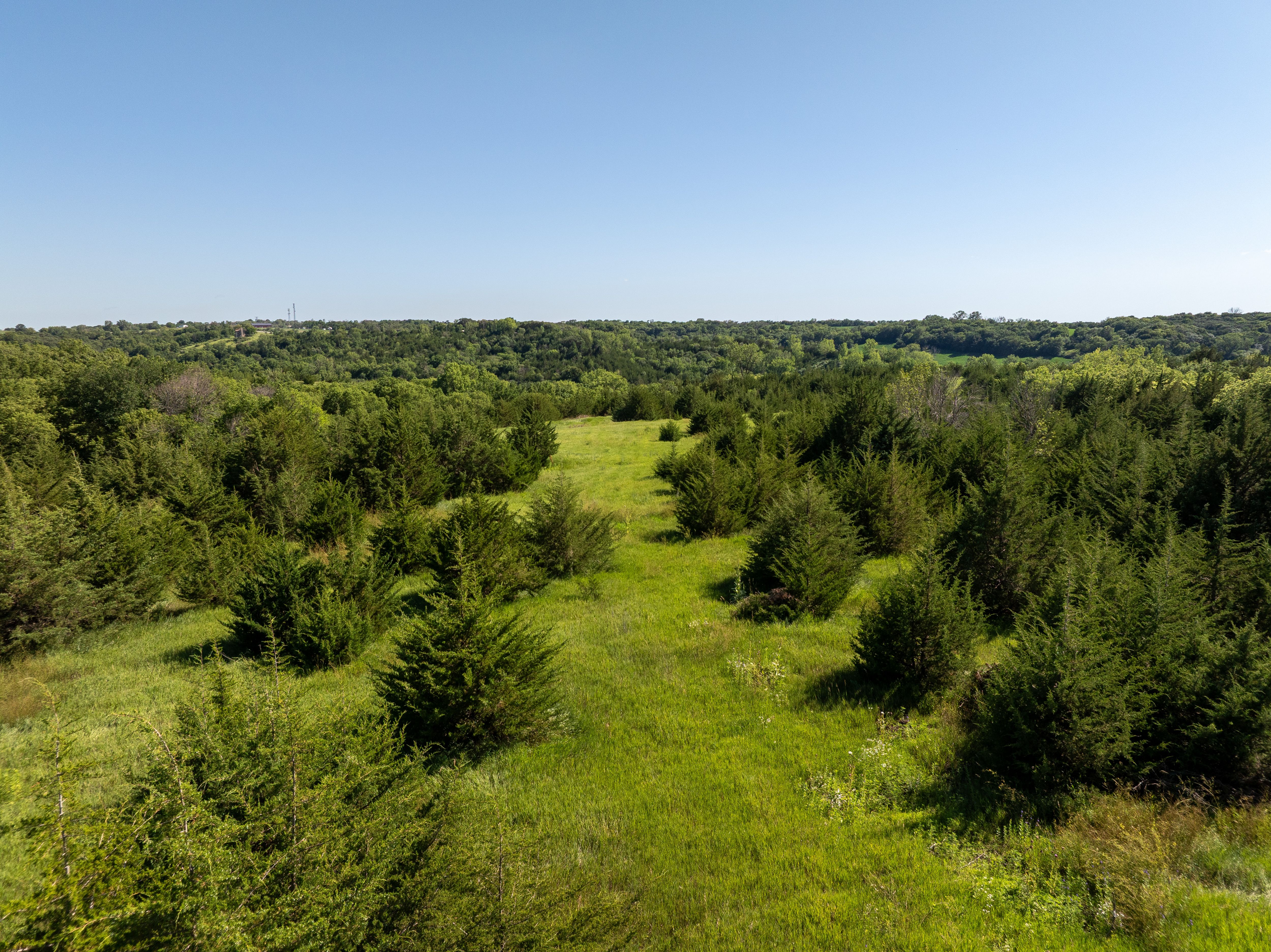 Listing Photo: DJI_0343