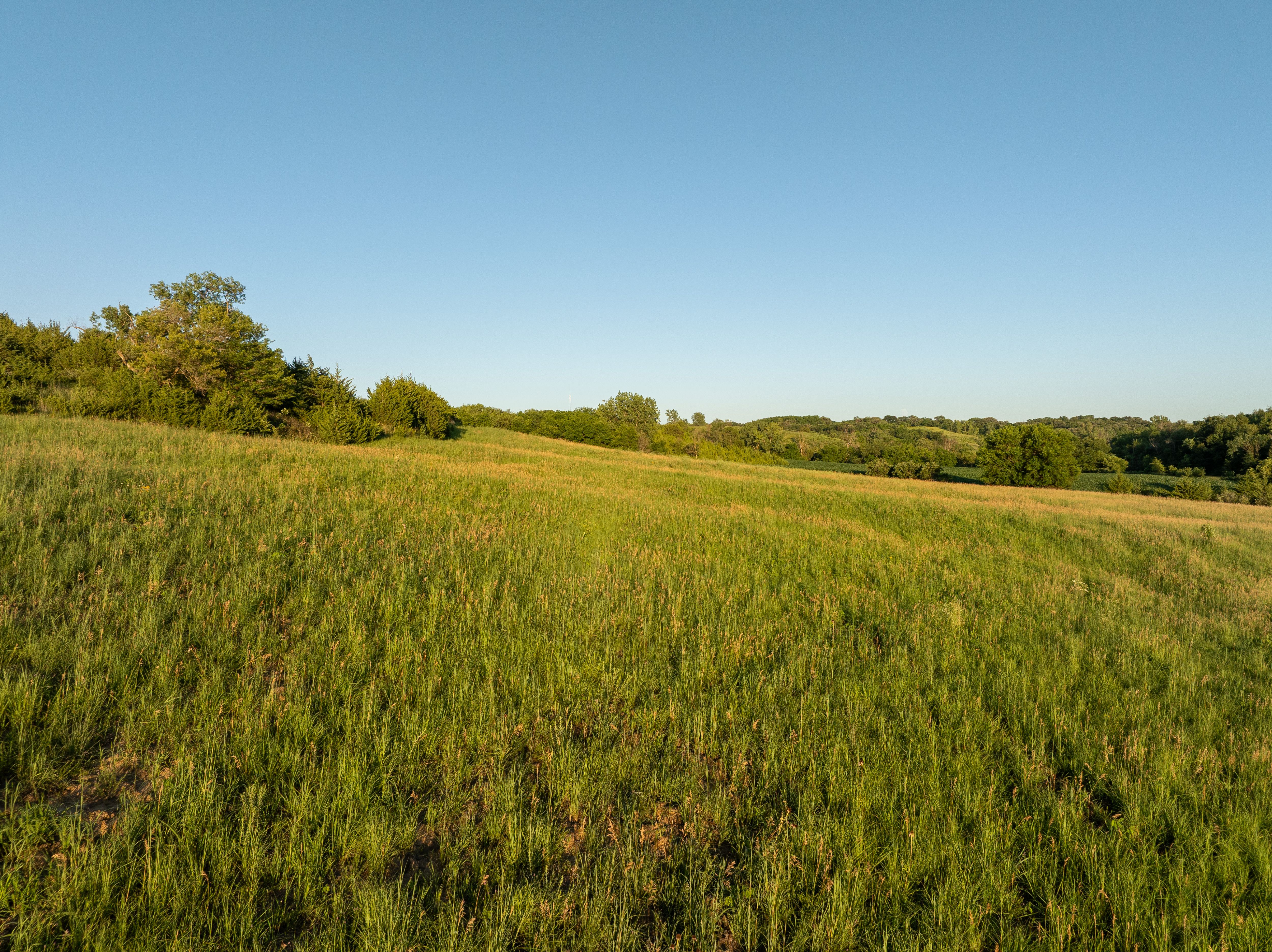 Listing Photo: DJI_0456