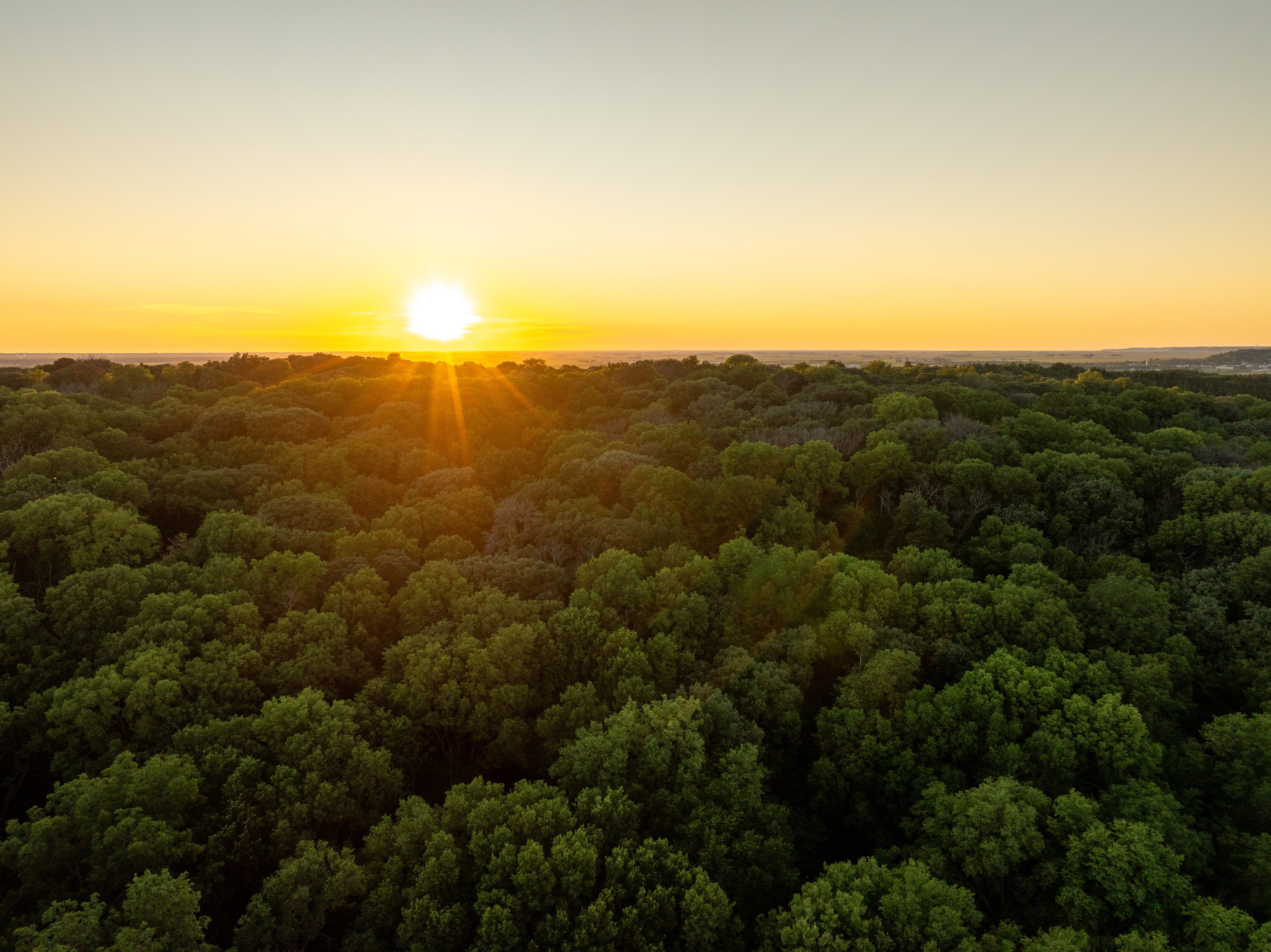 Listing Photo: DJI_0499