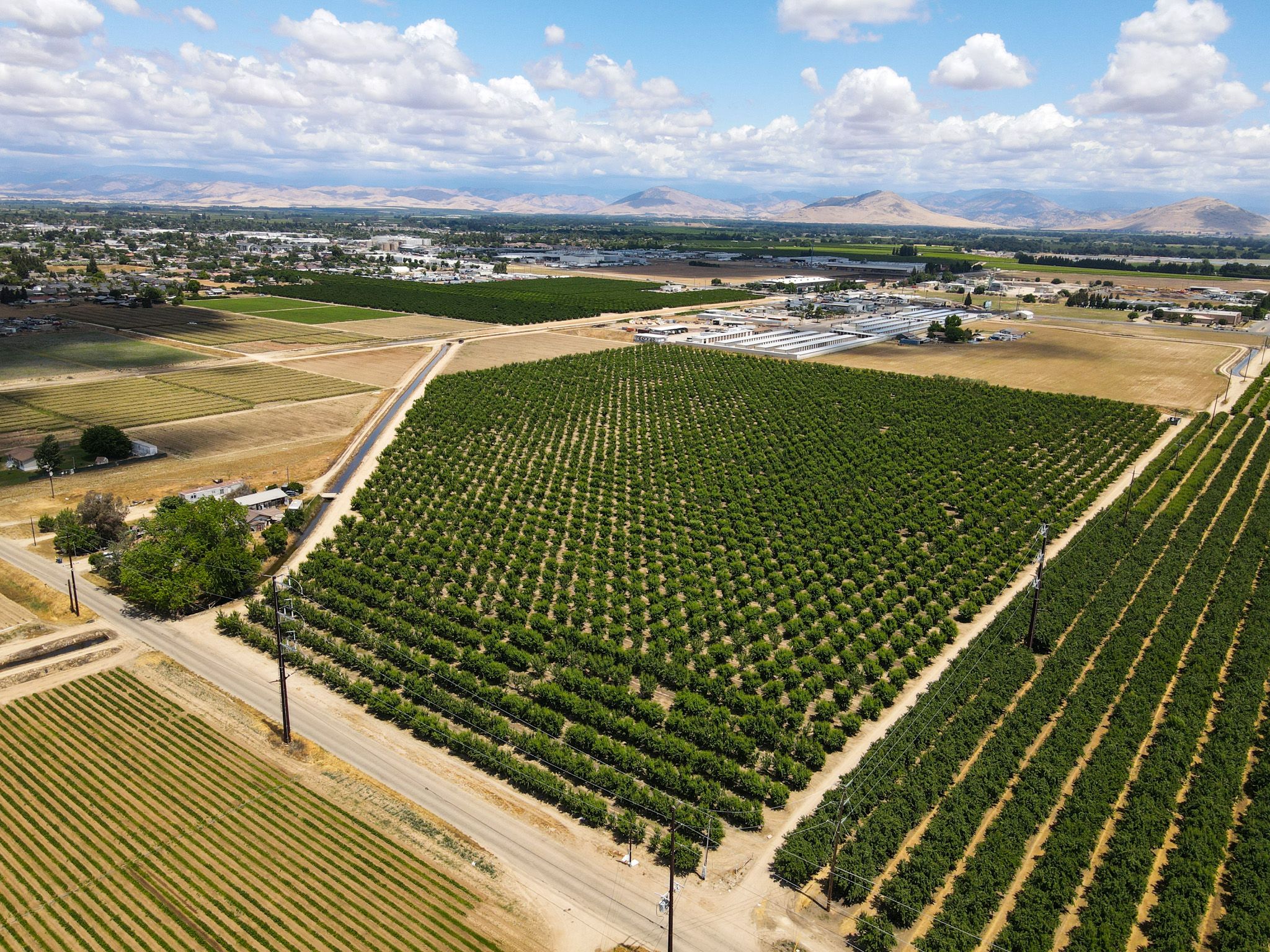 Listing Photo: Fresno-County-California-25-Acres-Greenwood-Ave-Almonds-Sale