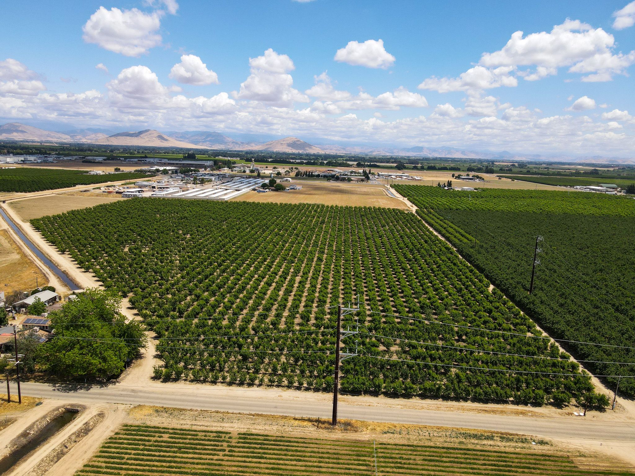 Listing Photo: Fresno-County-California-25-Acres-Greenwood-Ave-Almonds-Sale