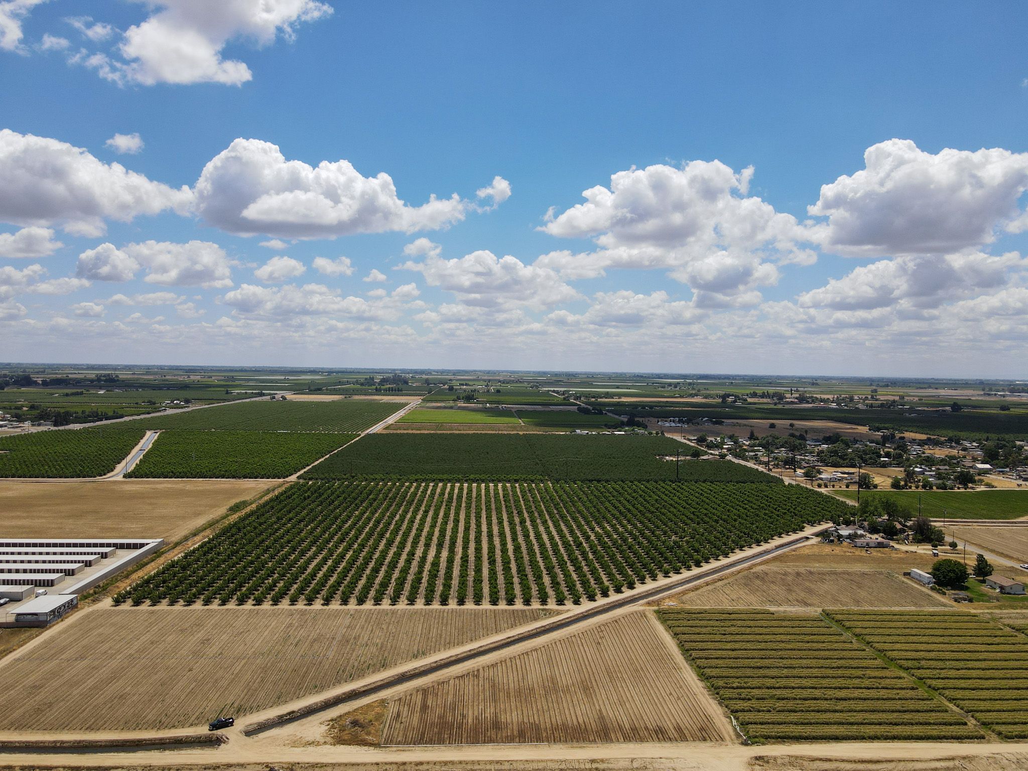 Listing Photo: Fresno-County-California-25-Acres-Greenwood-Ave-Almonds-Sale
