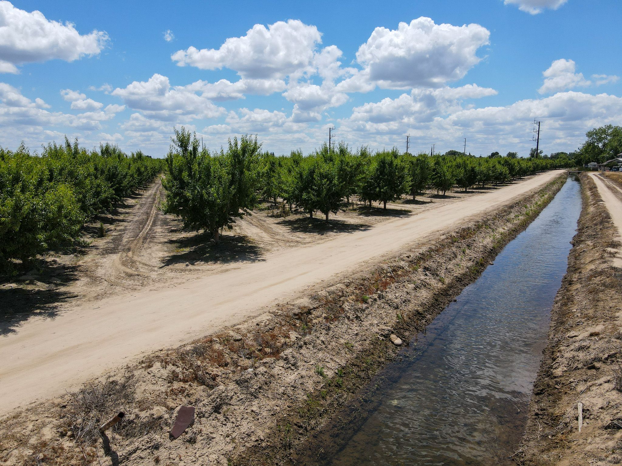 Listing Photo: Fresno-County-California-25-Acres-Greenwood-Ave-Almonds-Sale