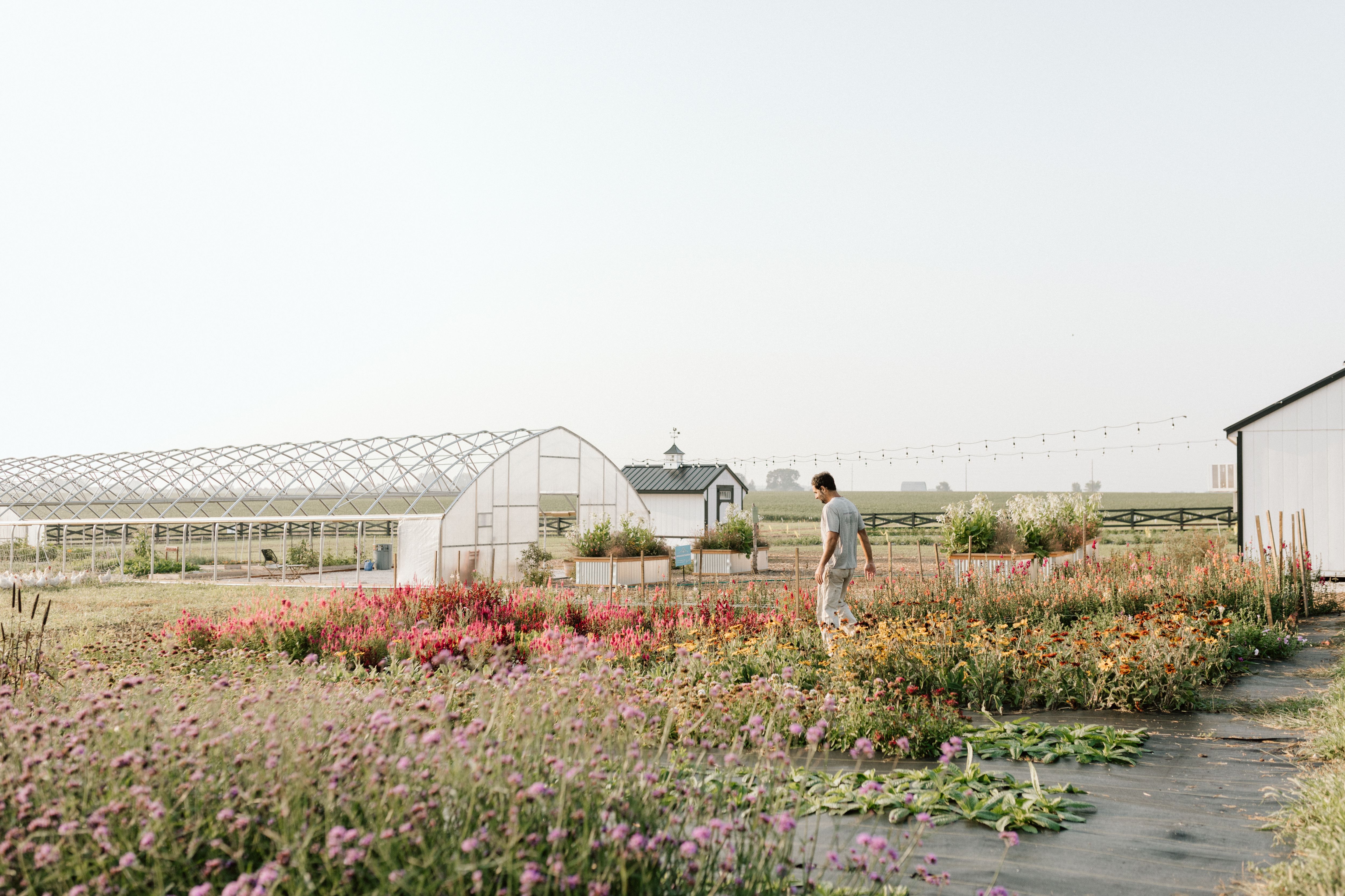 Listing Photo: 3E6A6637