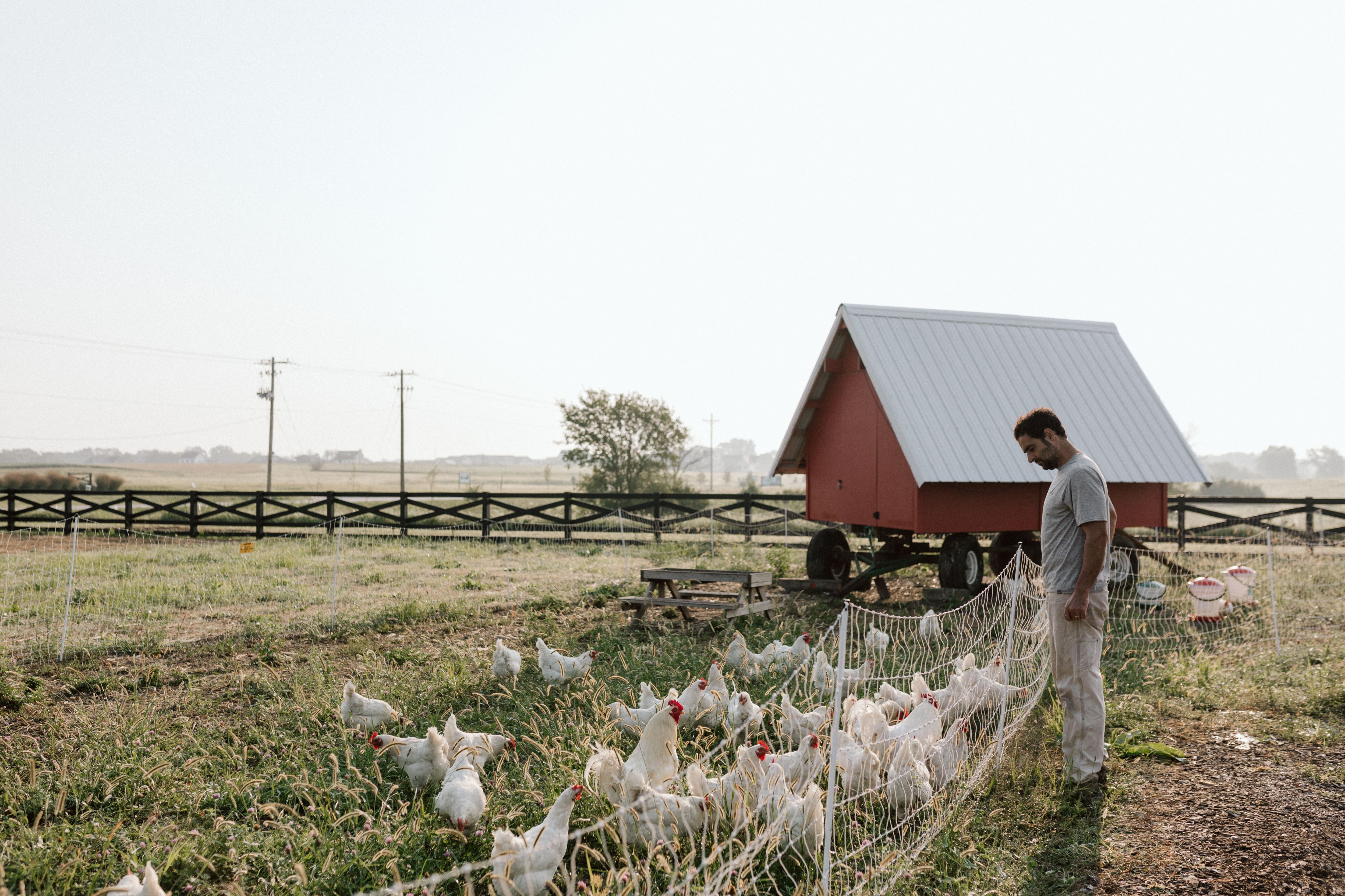 Listing Photo: 3E6A6694
