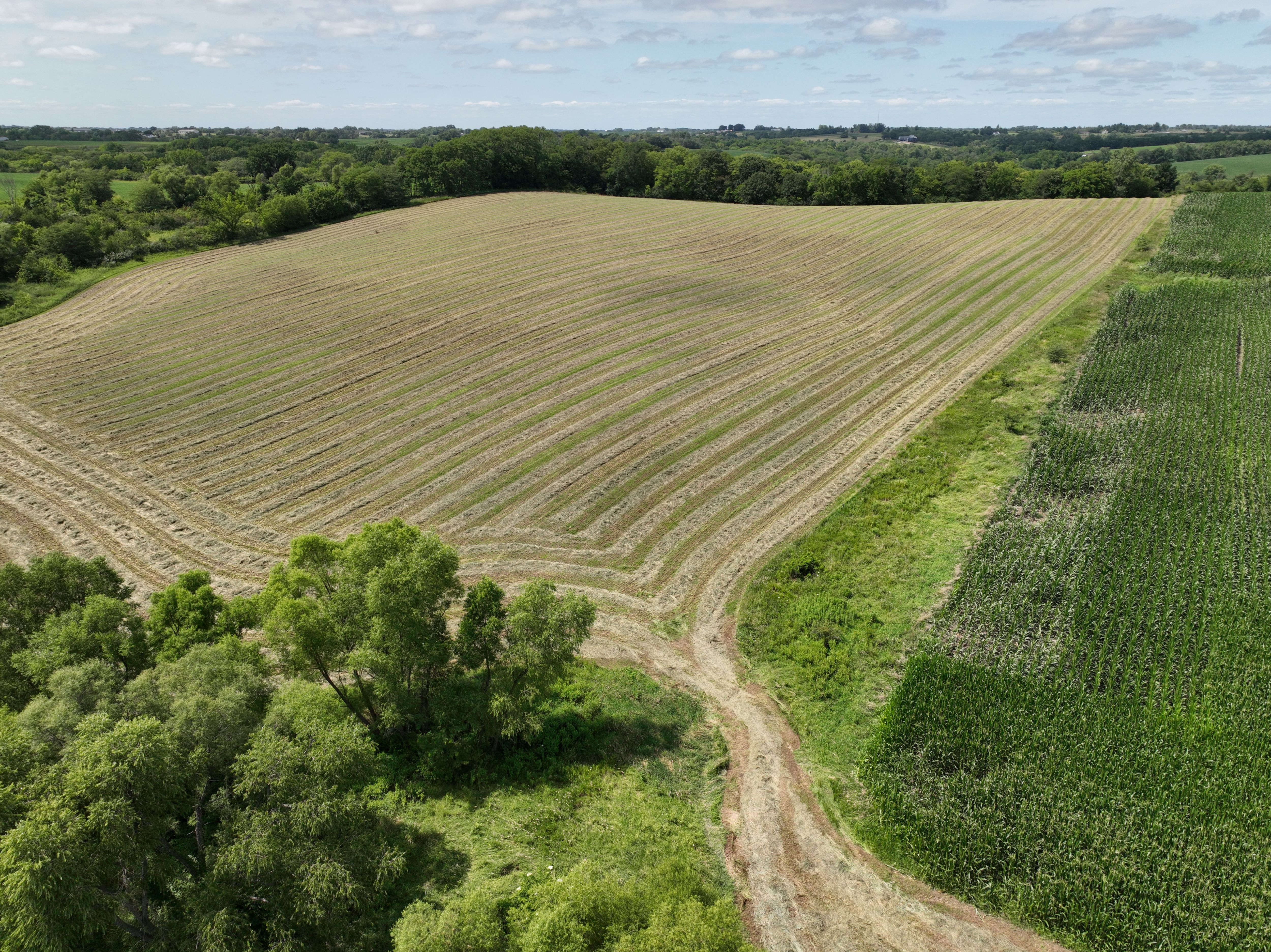 Listing Photo: DJI_0602