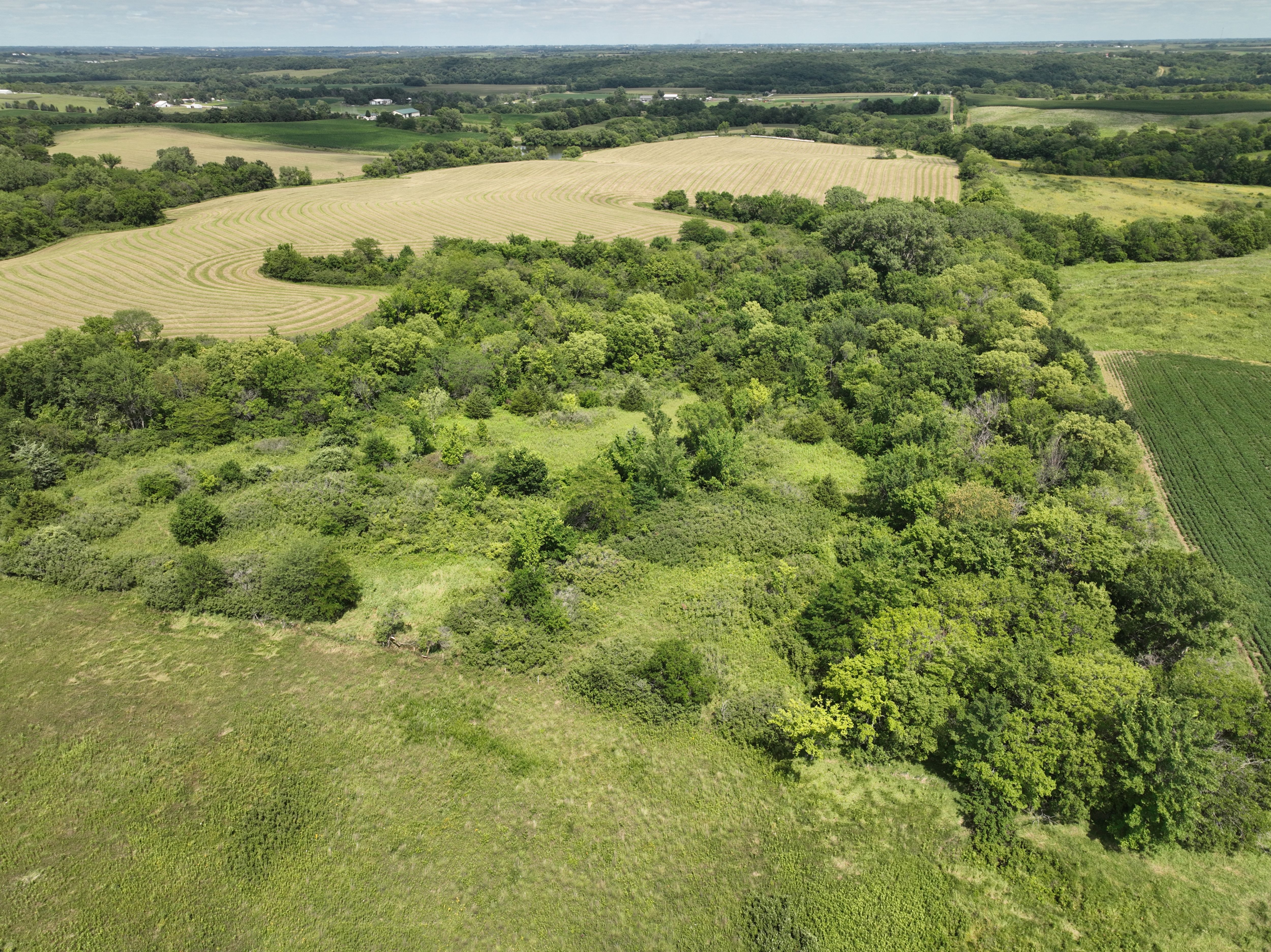 Listing Photo: DJI_0608