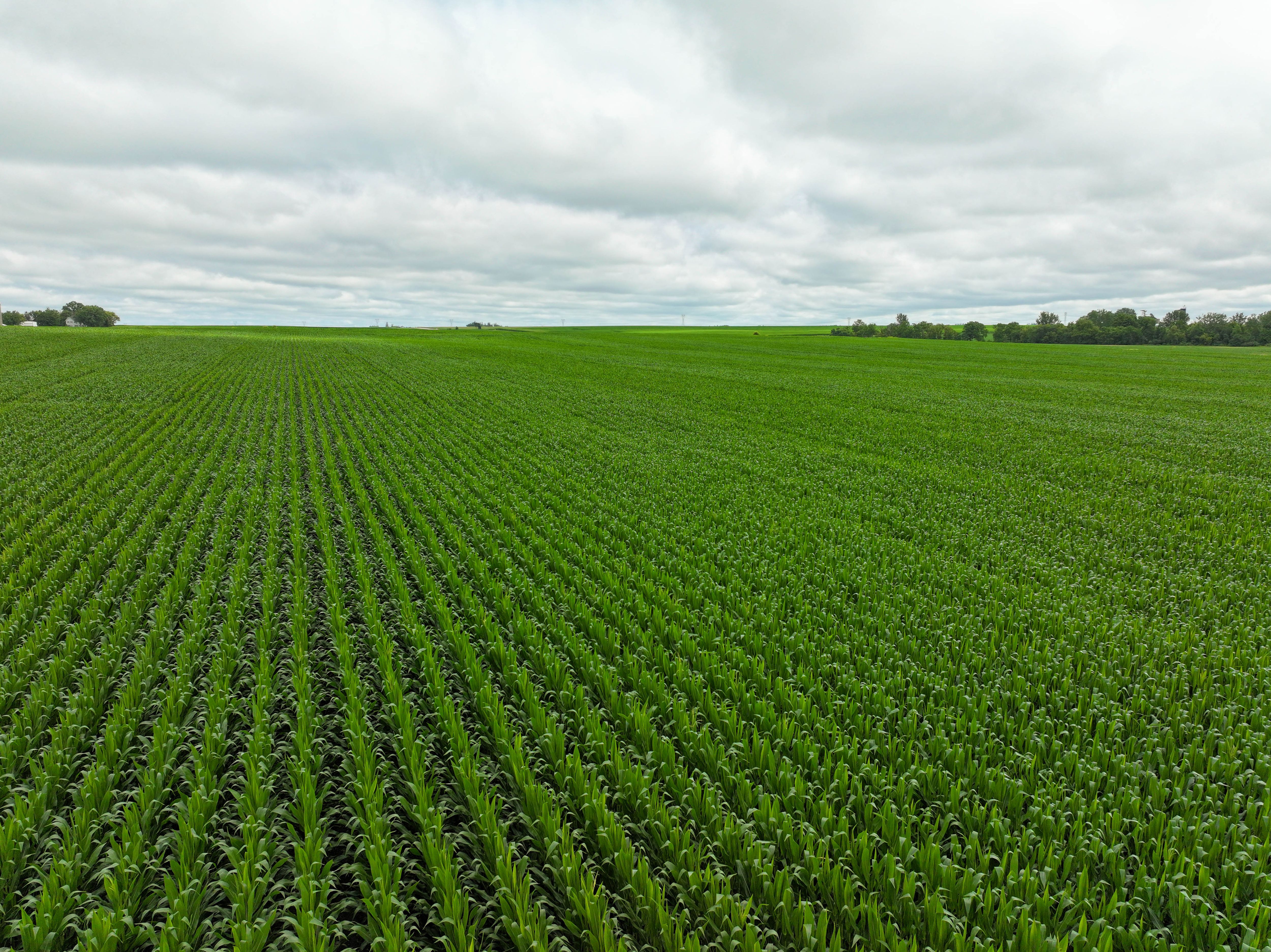 Listing Photo: DJI_20250717102236_0016_D