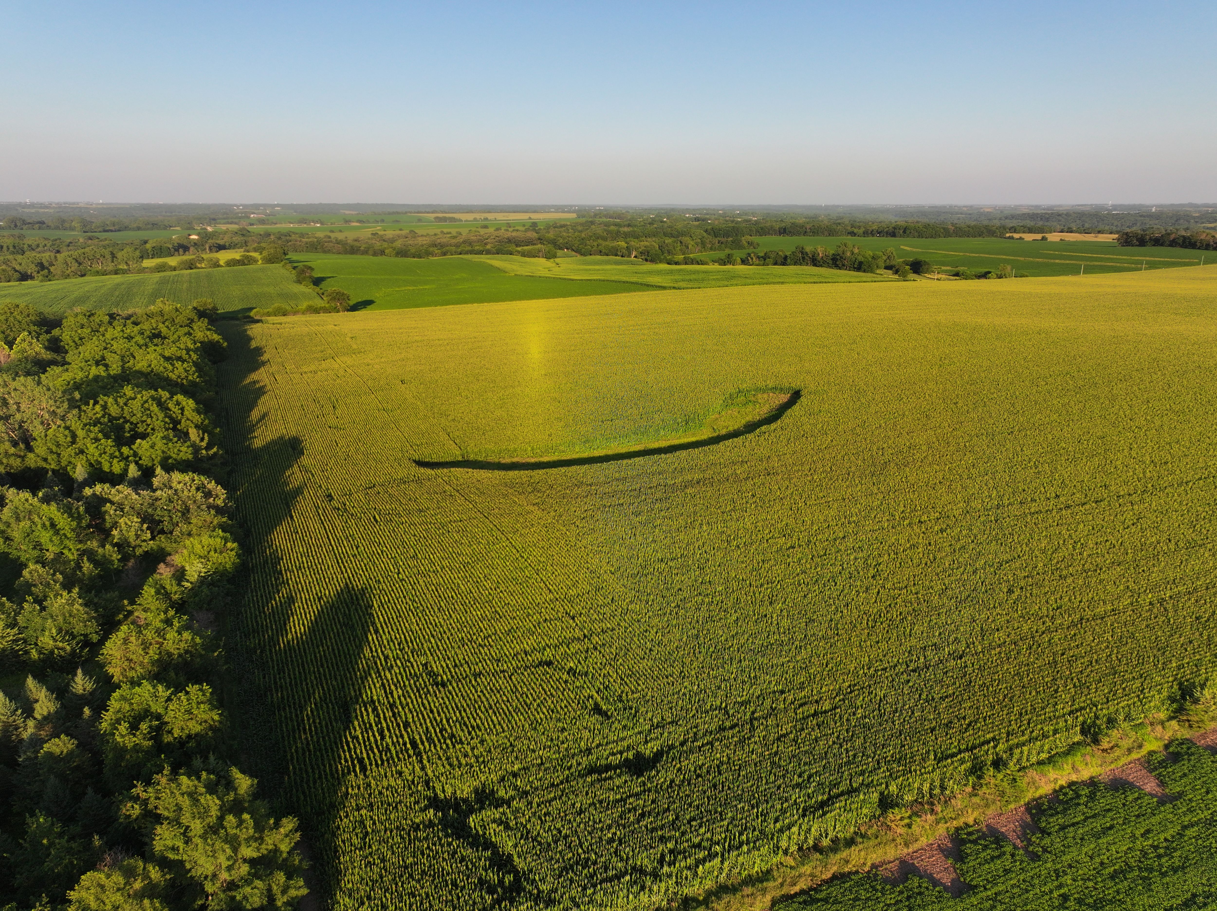 Listing Photo: DJI_20250711135010_0008_D