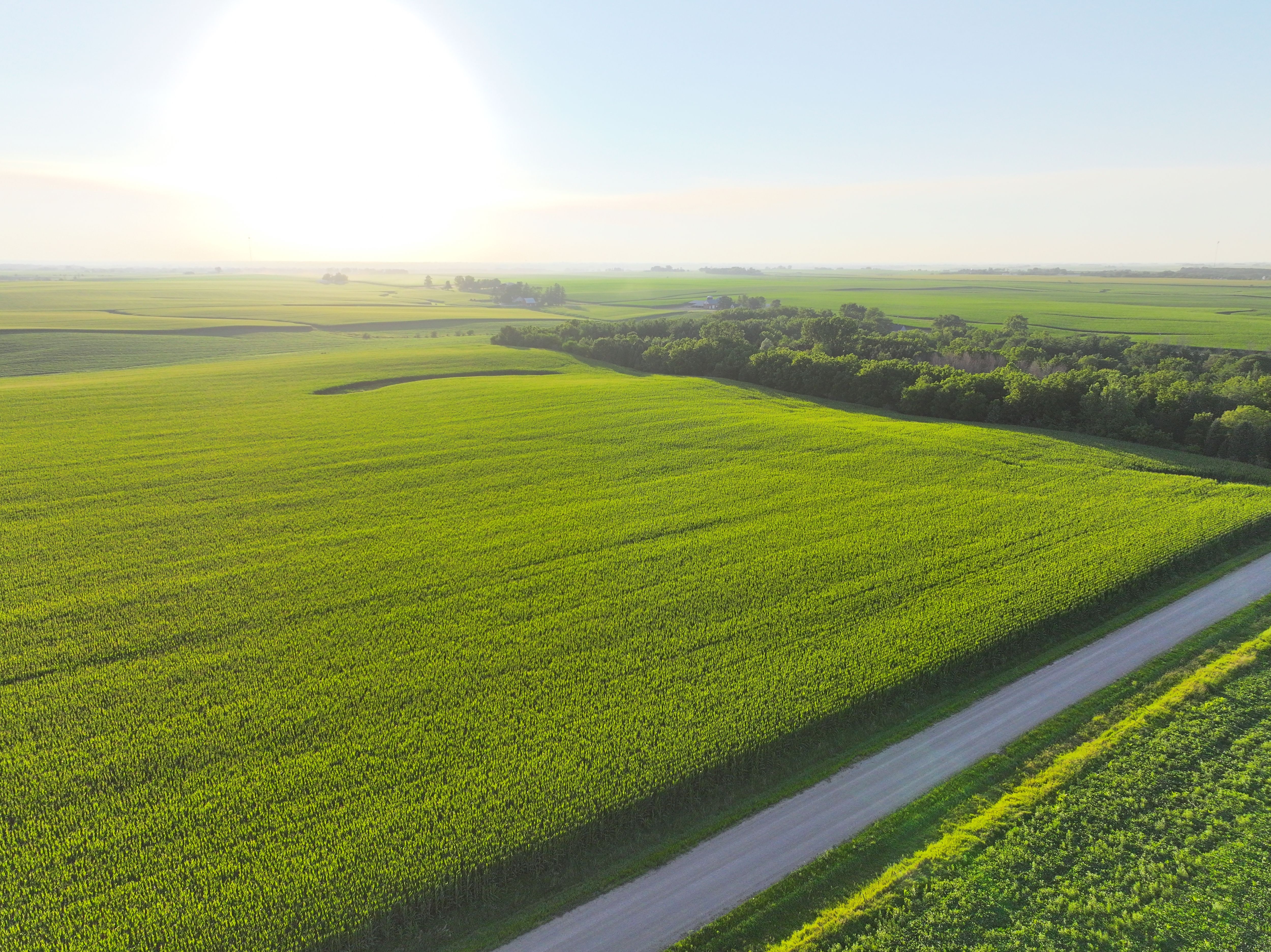 Listing Photo: DJI_20250711135348_0017_D