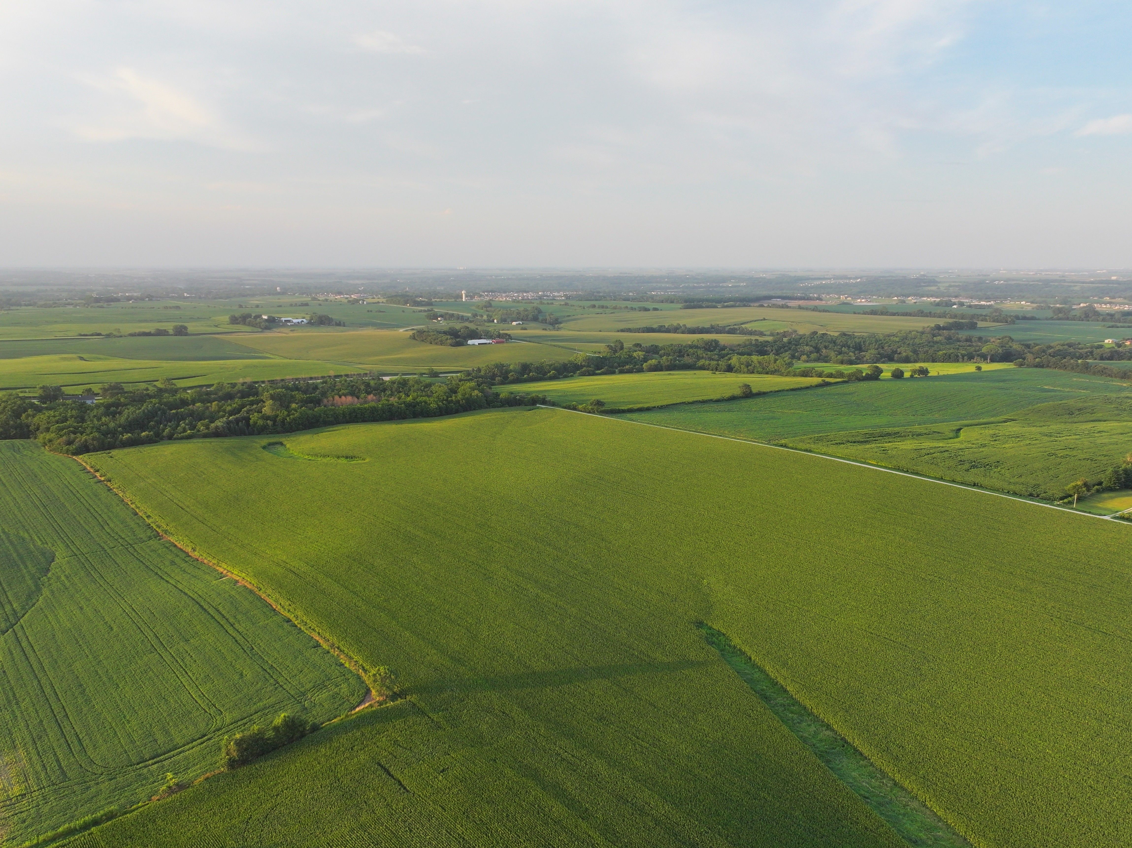 Listing Photo: DJI_20250719140620_0147_D-1