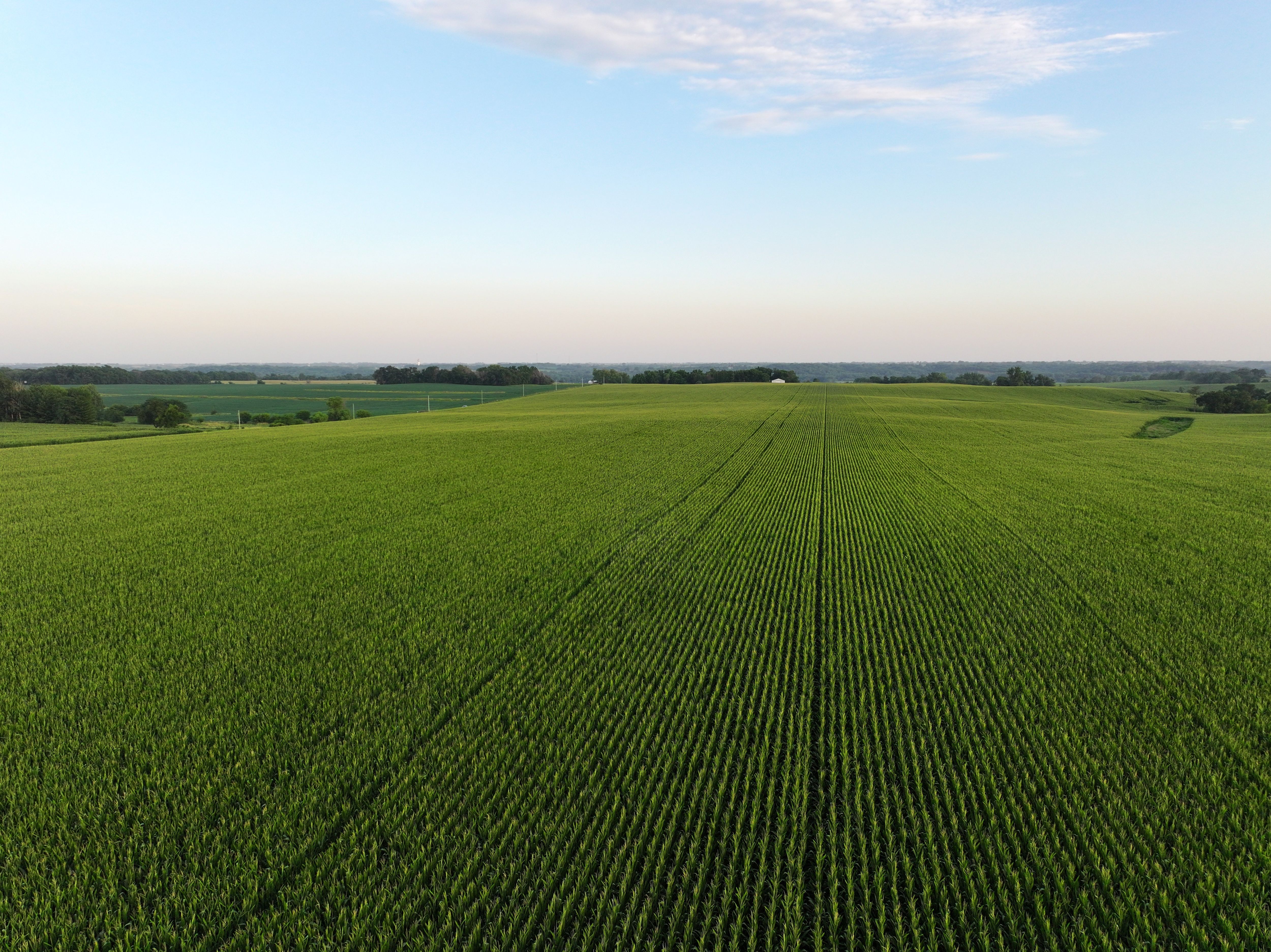 Listing Photo: DJI_20250719140932_0162_D-1