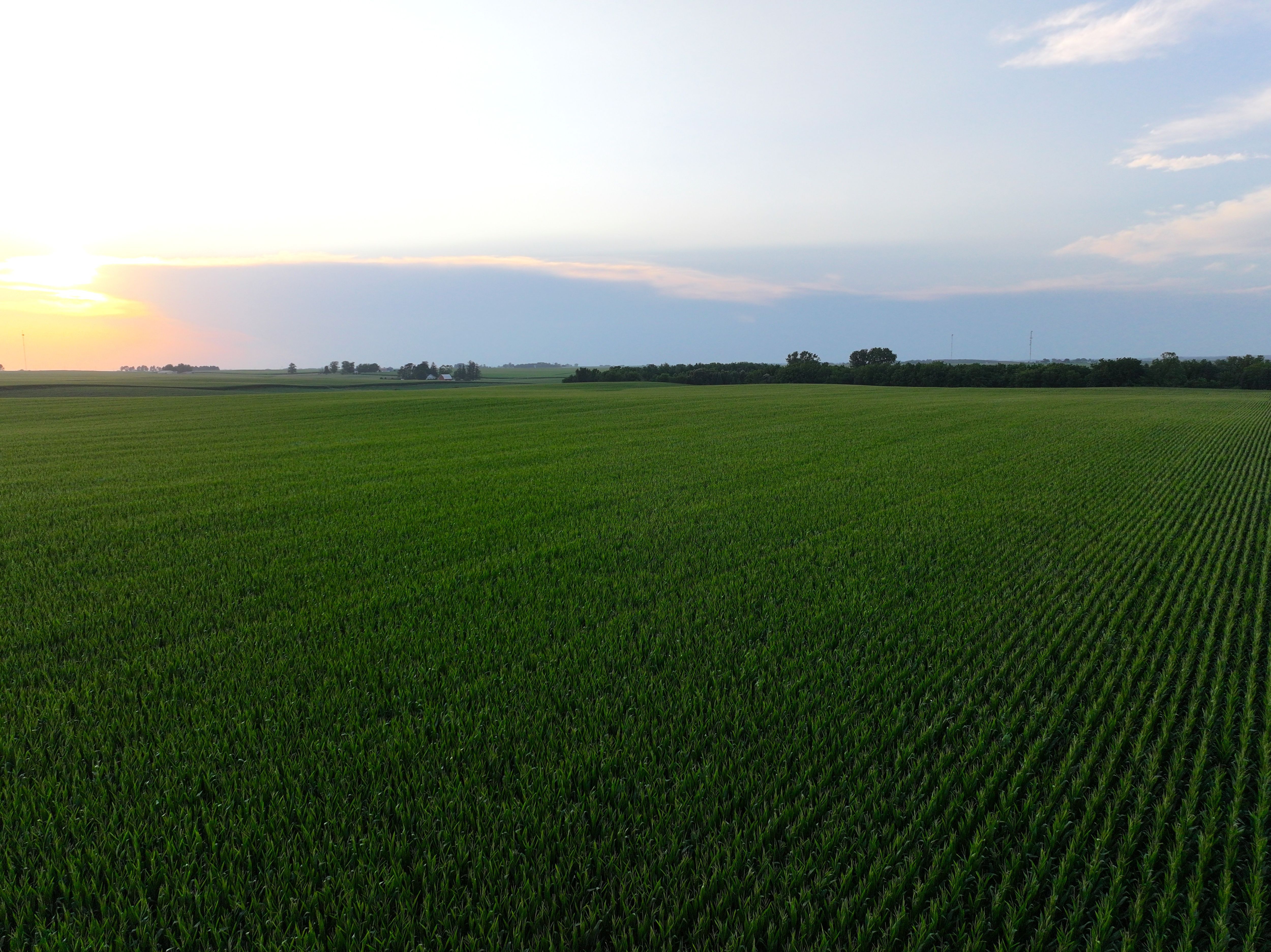 Listing Photo: DJI_20250719141050_0169_D-1