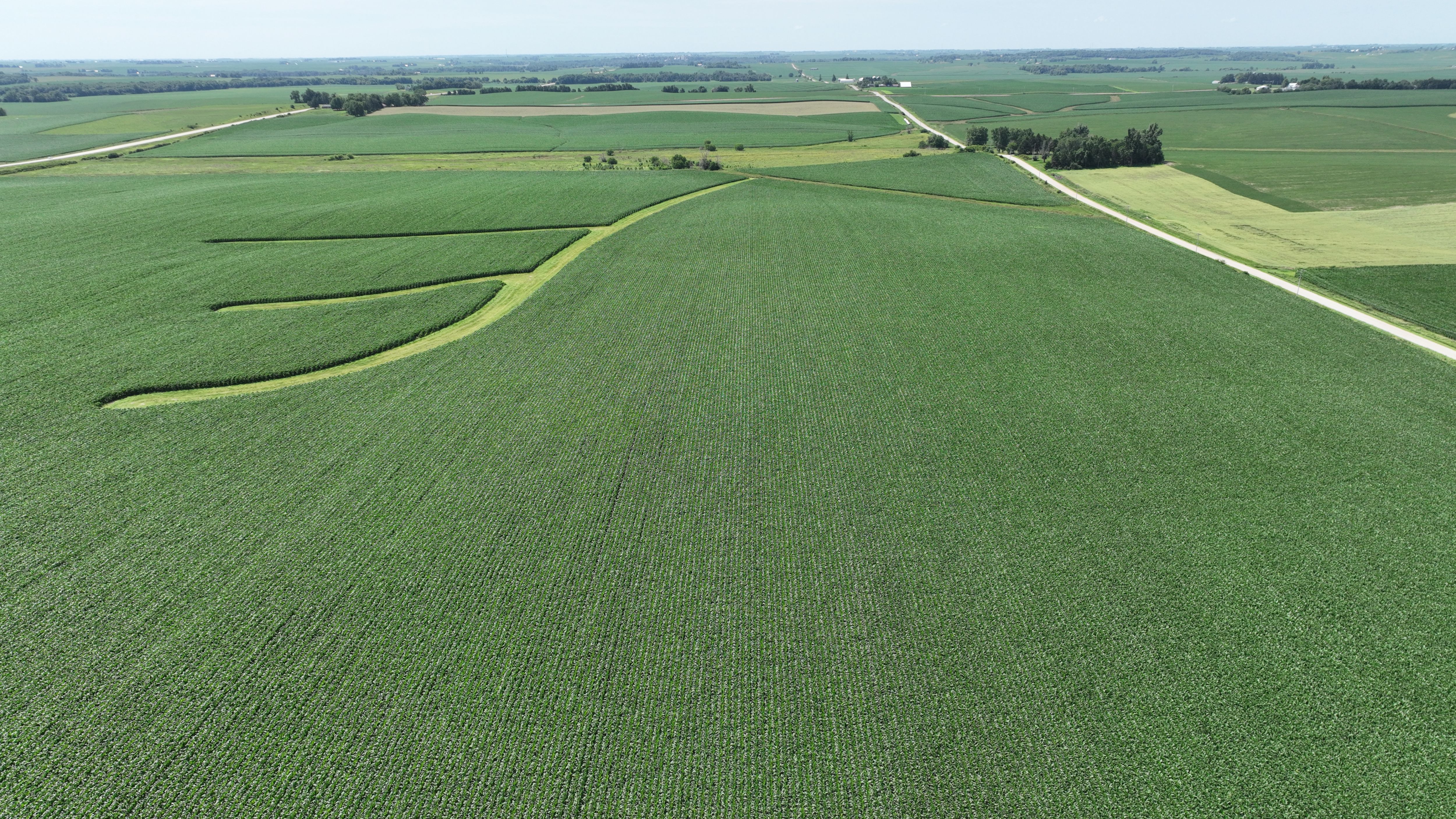 Listing Photo: 83 Acres M/L of Tama County Farmland Selling at Public Auction