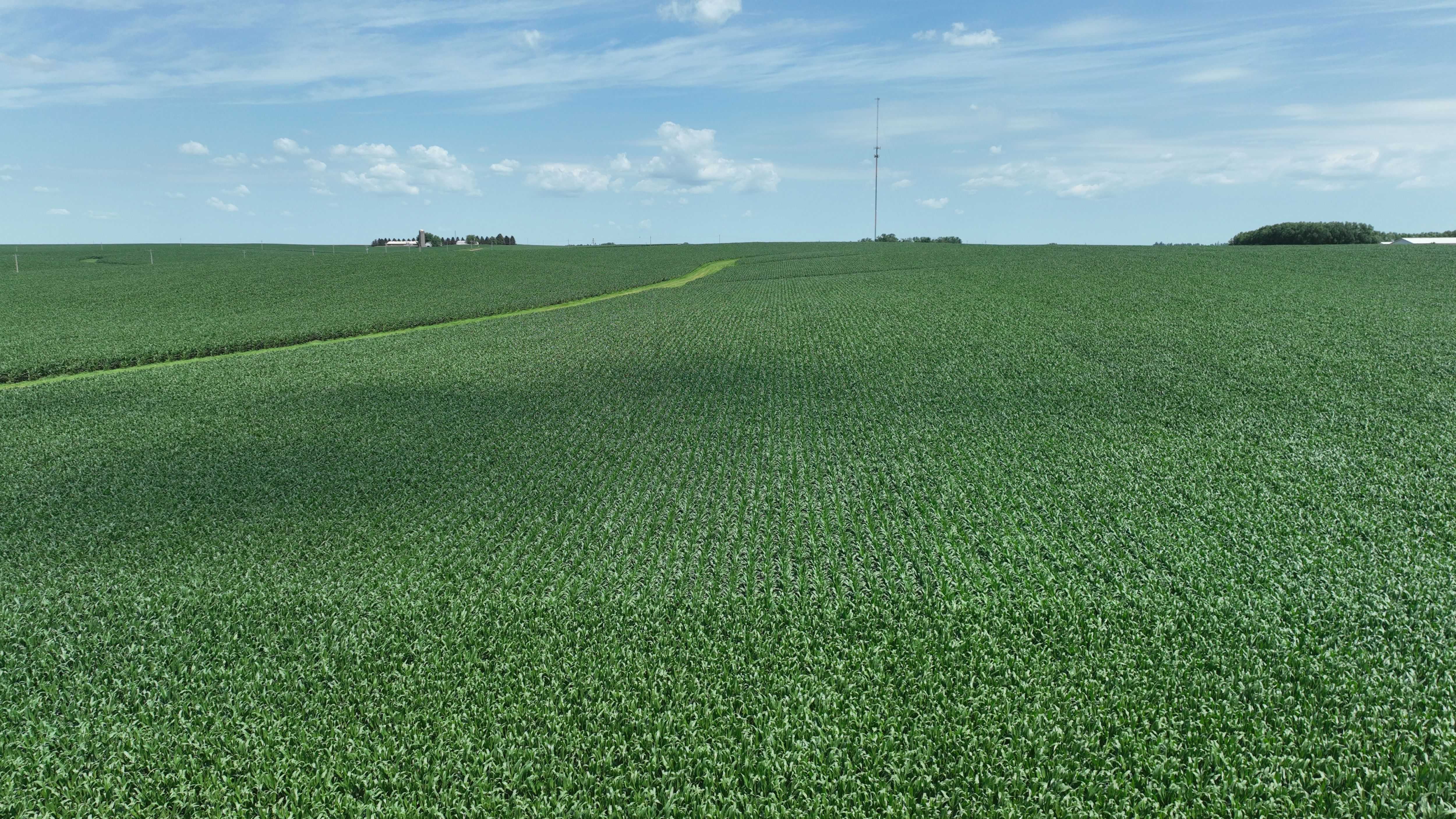 Listing Photo: 83 Acres M/L of Tama County Farmland Selling at Public Auction
