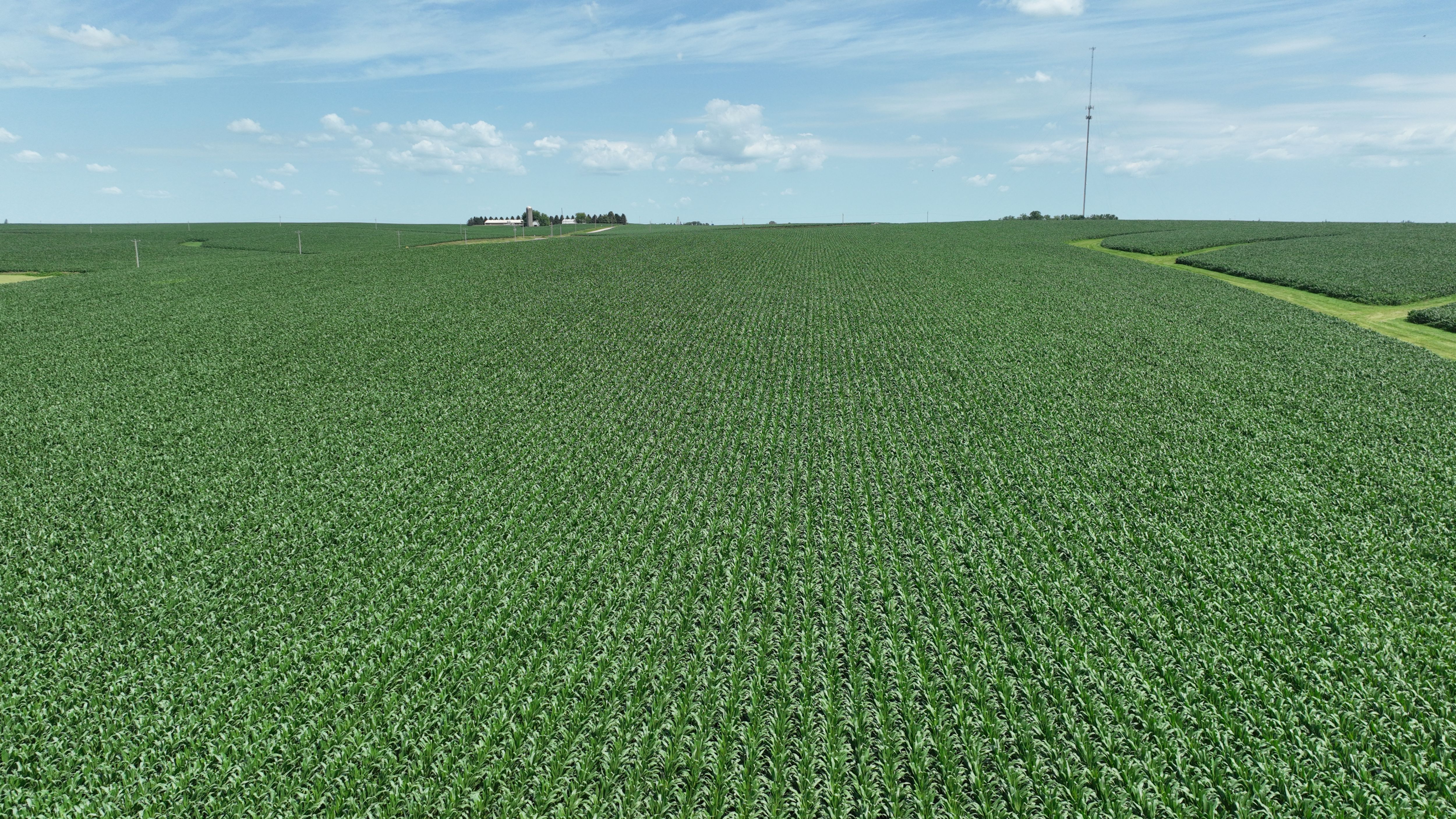 Listing Photo: 83 Acres M/L of Tama County Farmland Selling at Public Auction
